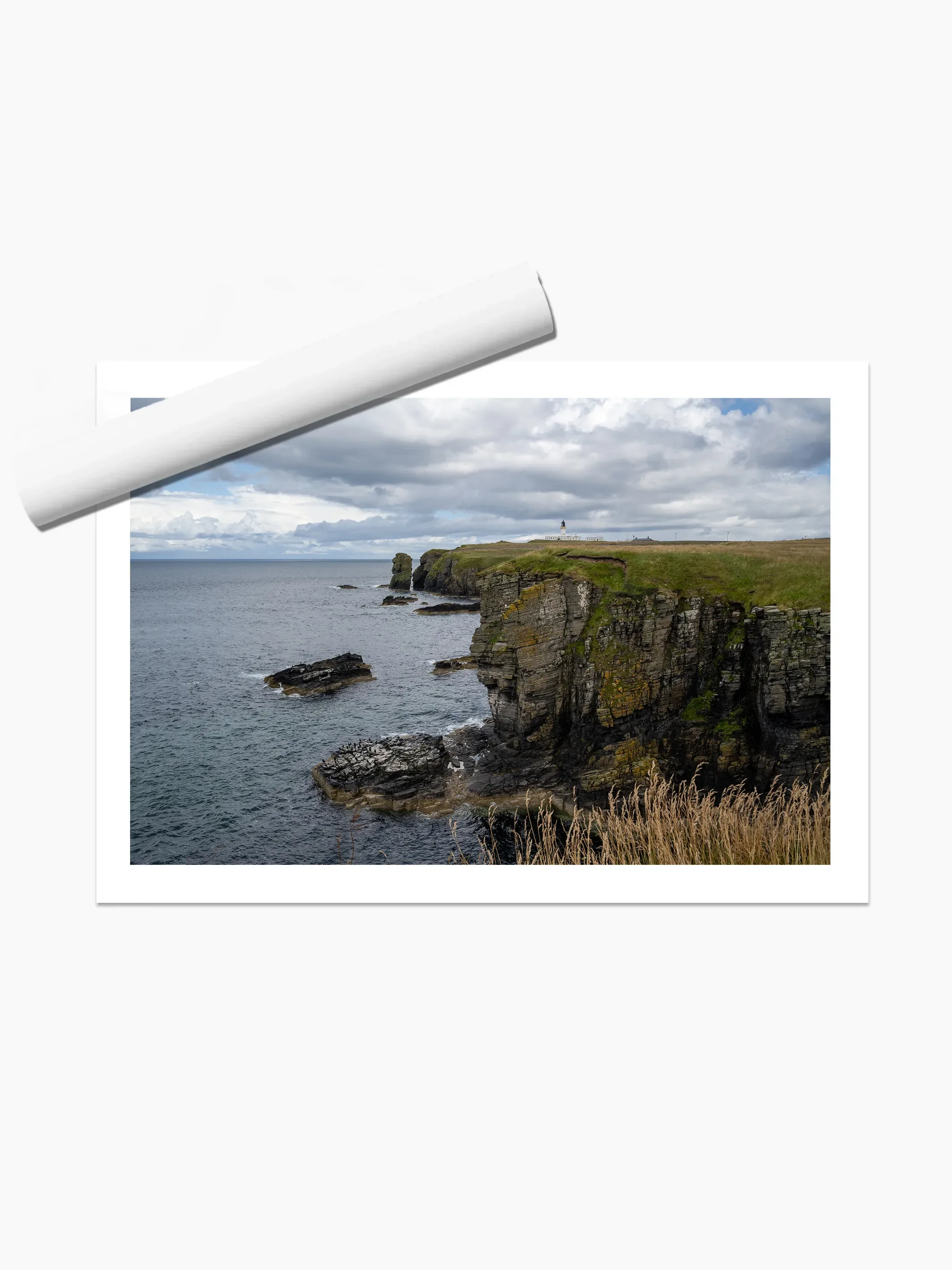 print template copy.webp