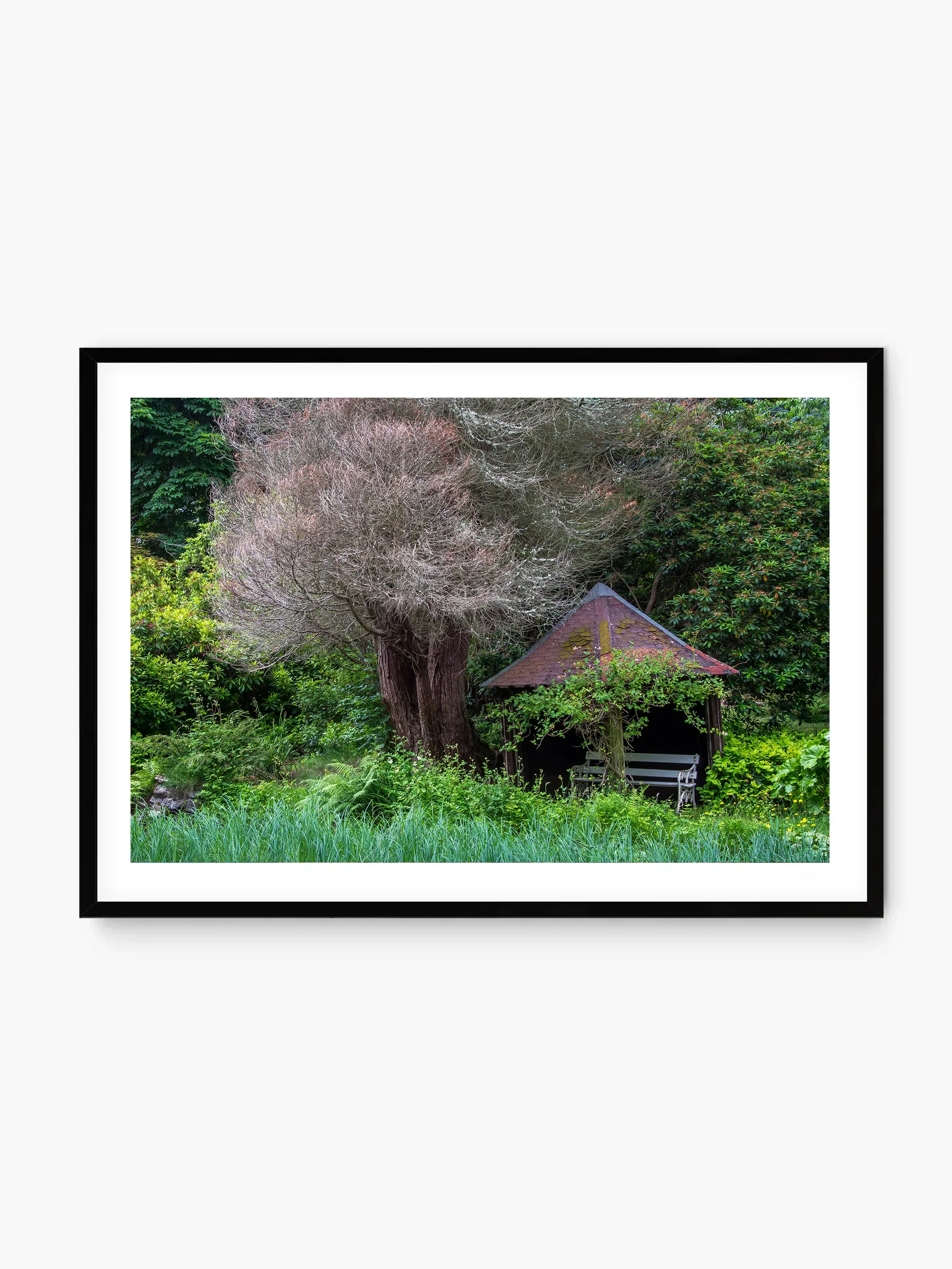 black_template copy.webp