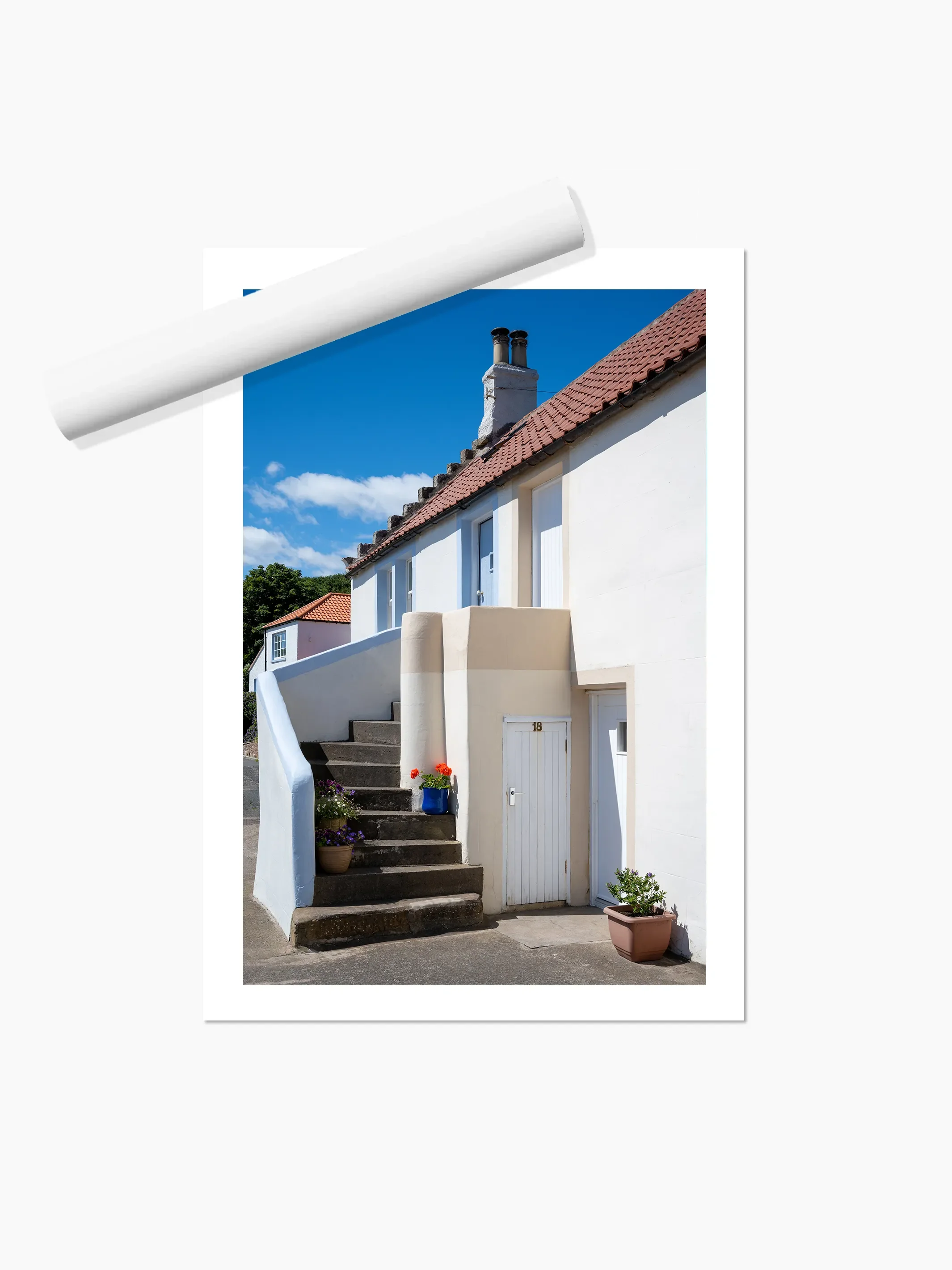 Portrait_print copy.webp