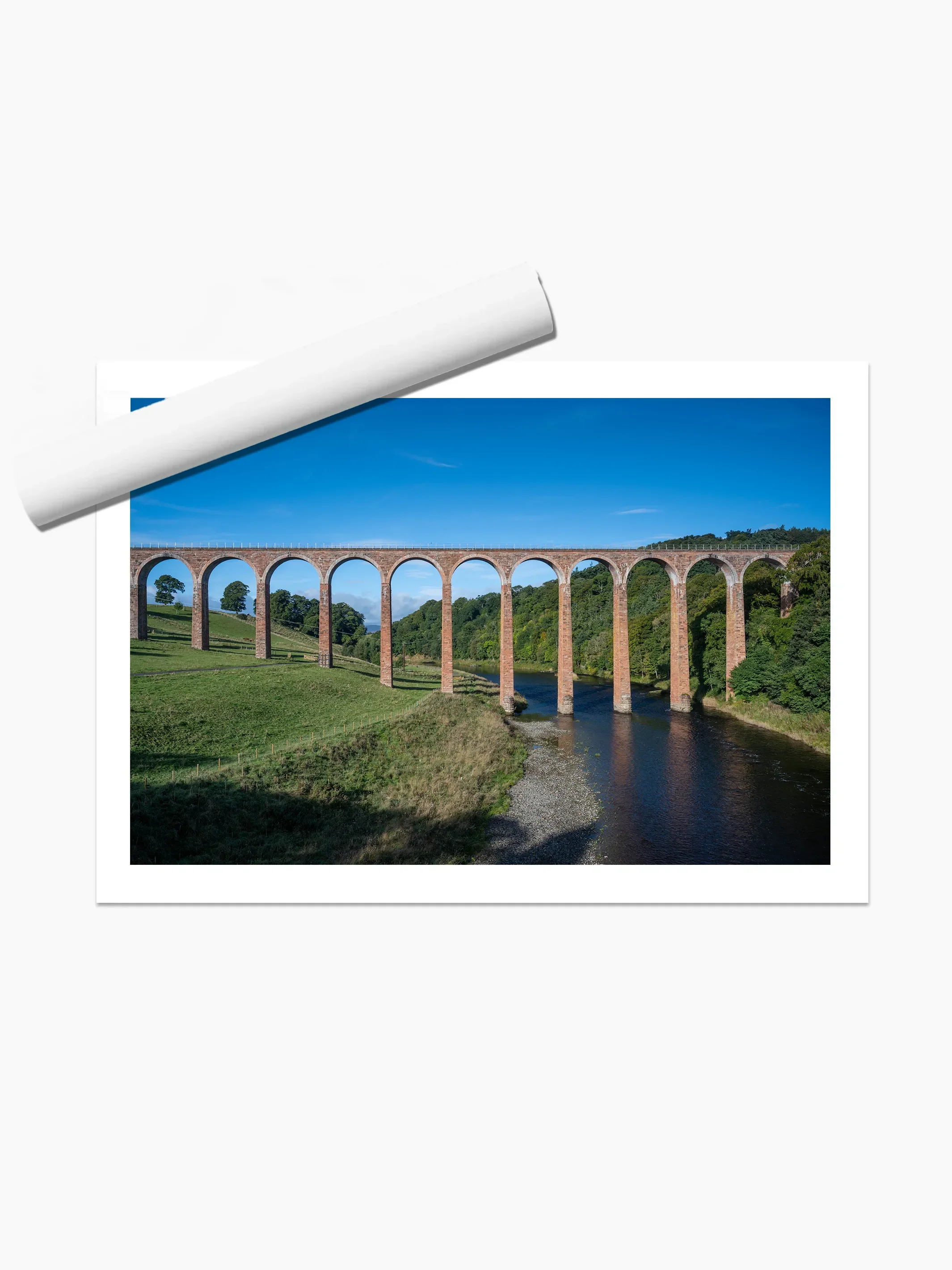 print template copy.webp