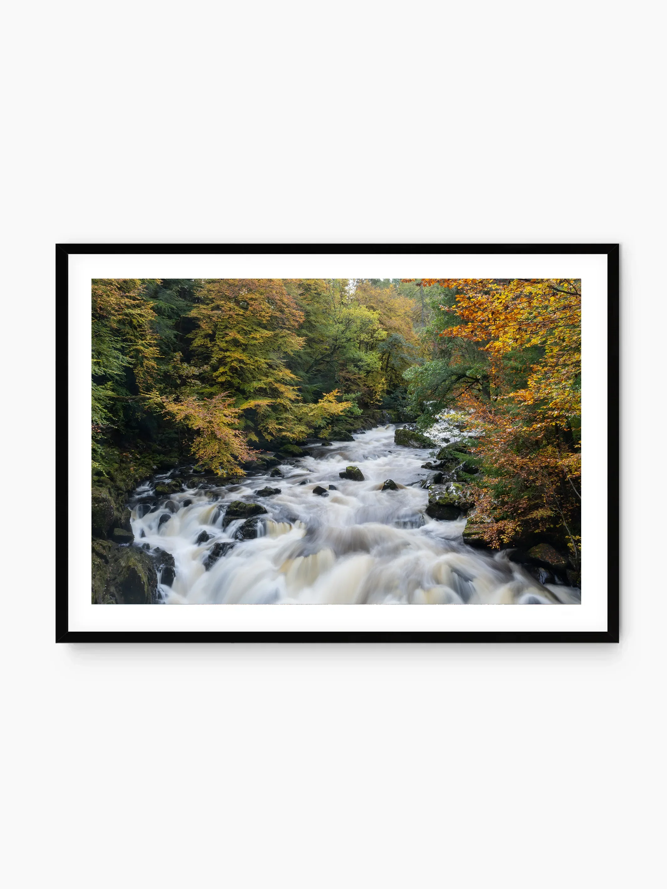 black_template copy.webp