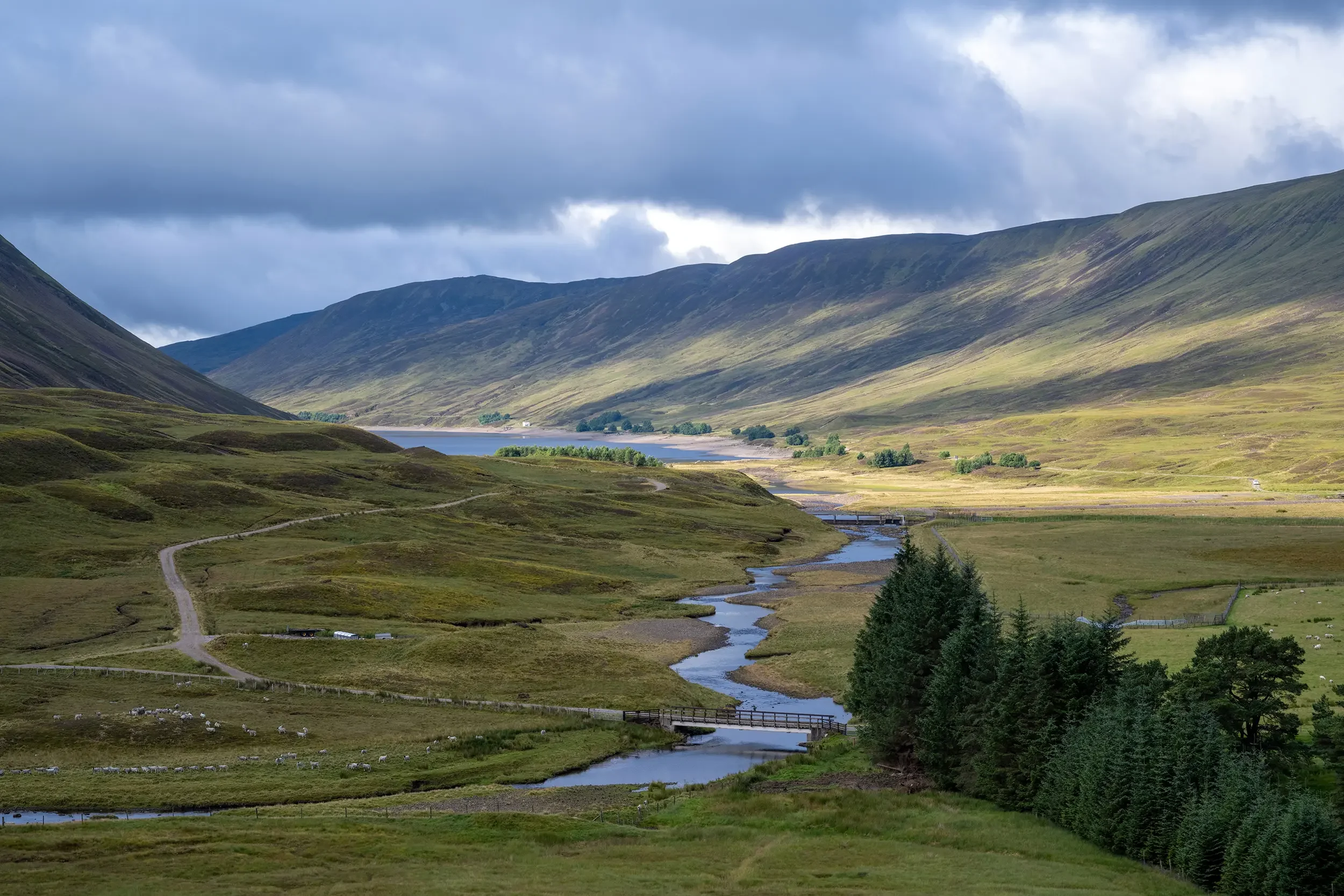 20230807-DSC_9501 copy 2.webp