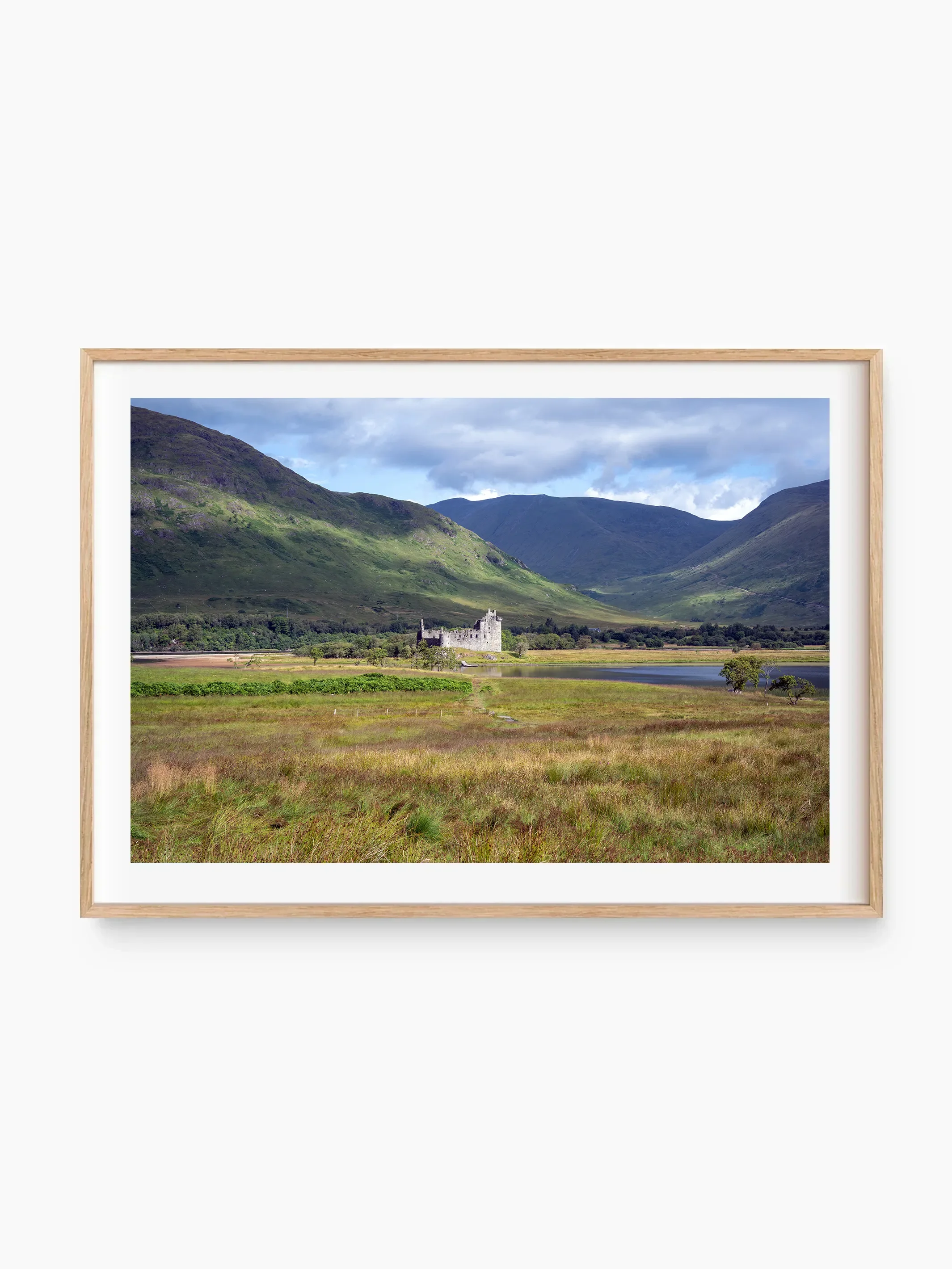 beech_template copy.webp