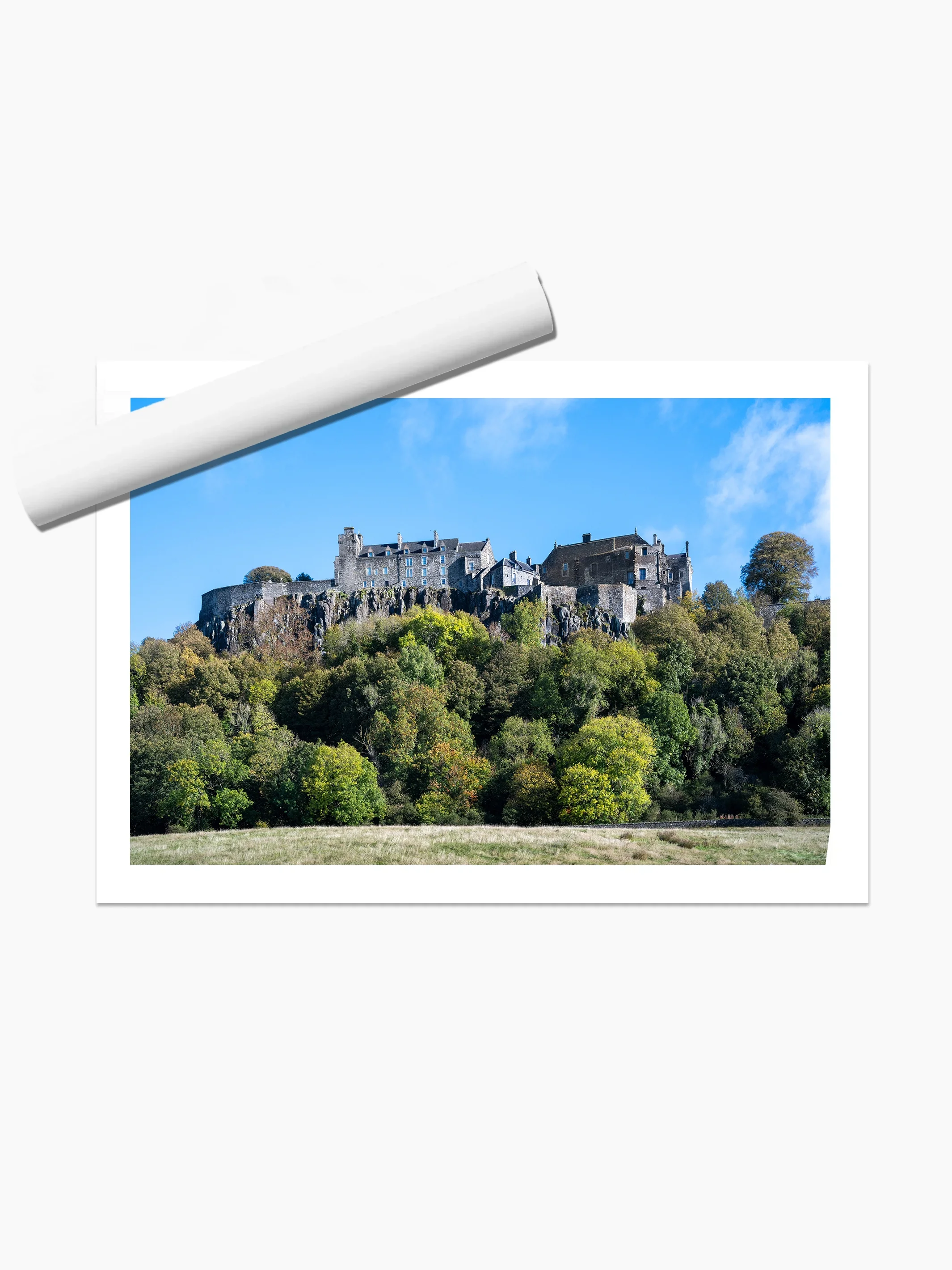 print template copy.webp