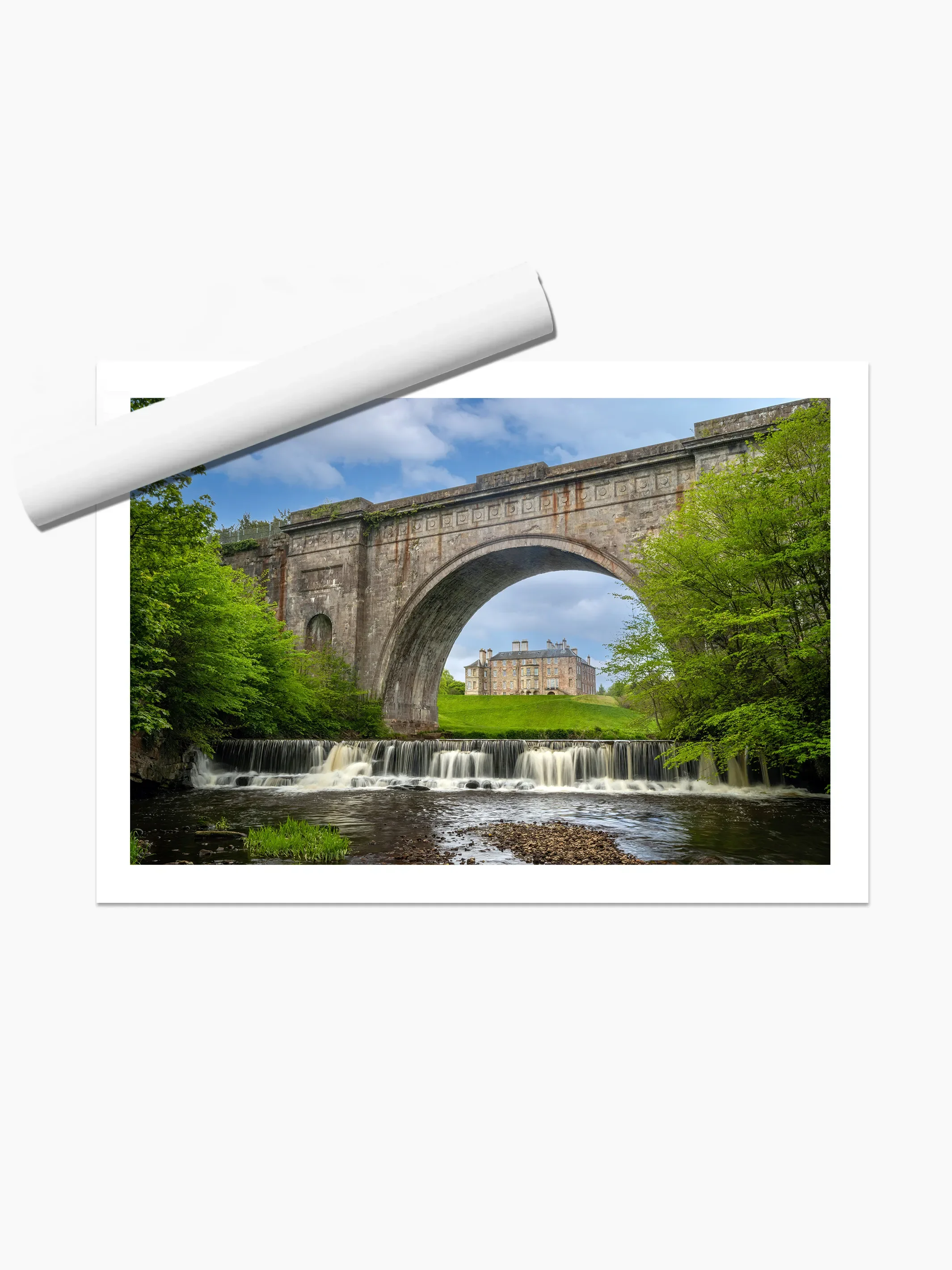 print template copy.webp