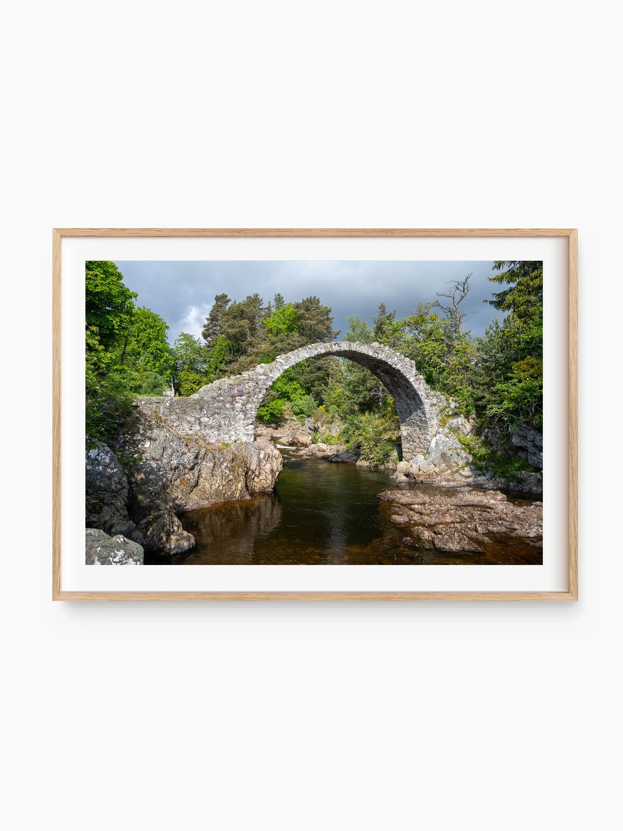 beech_template copy.webp