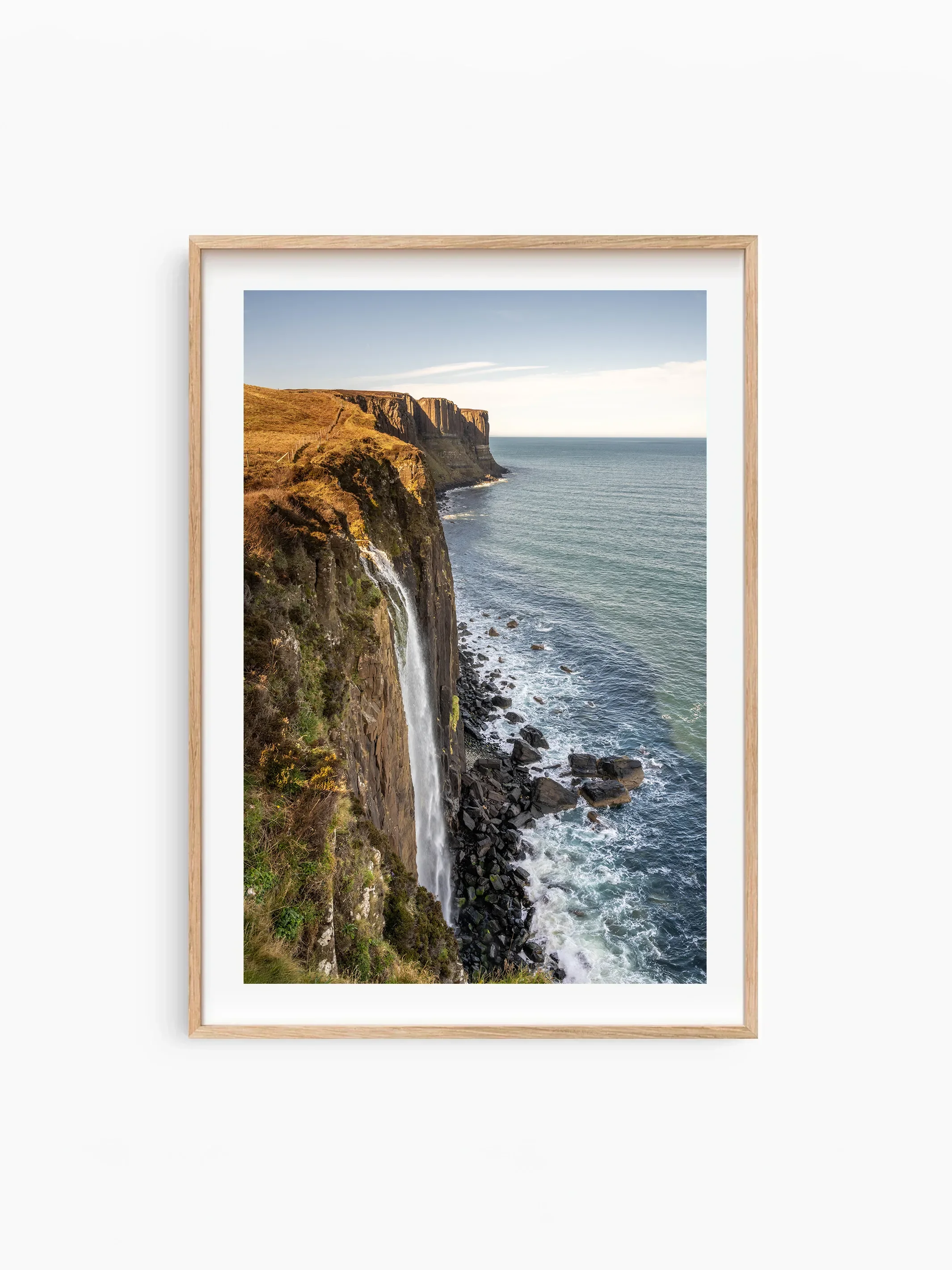 Portrait_Beech_template copy.webp