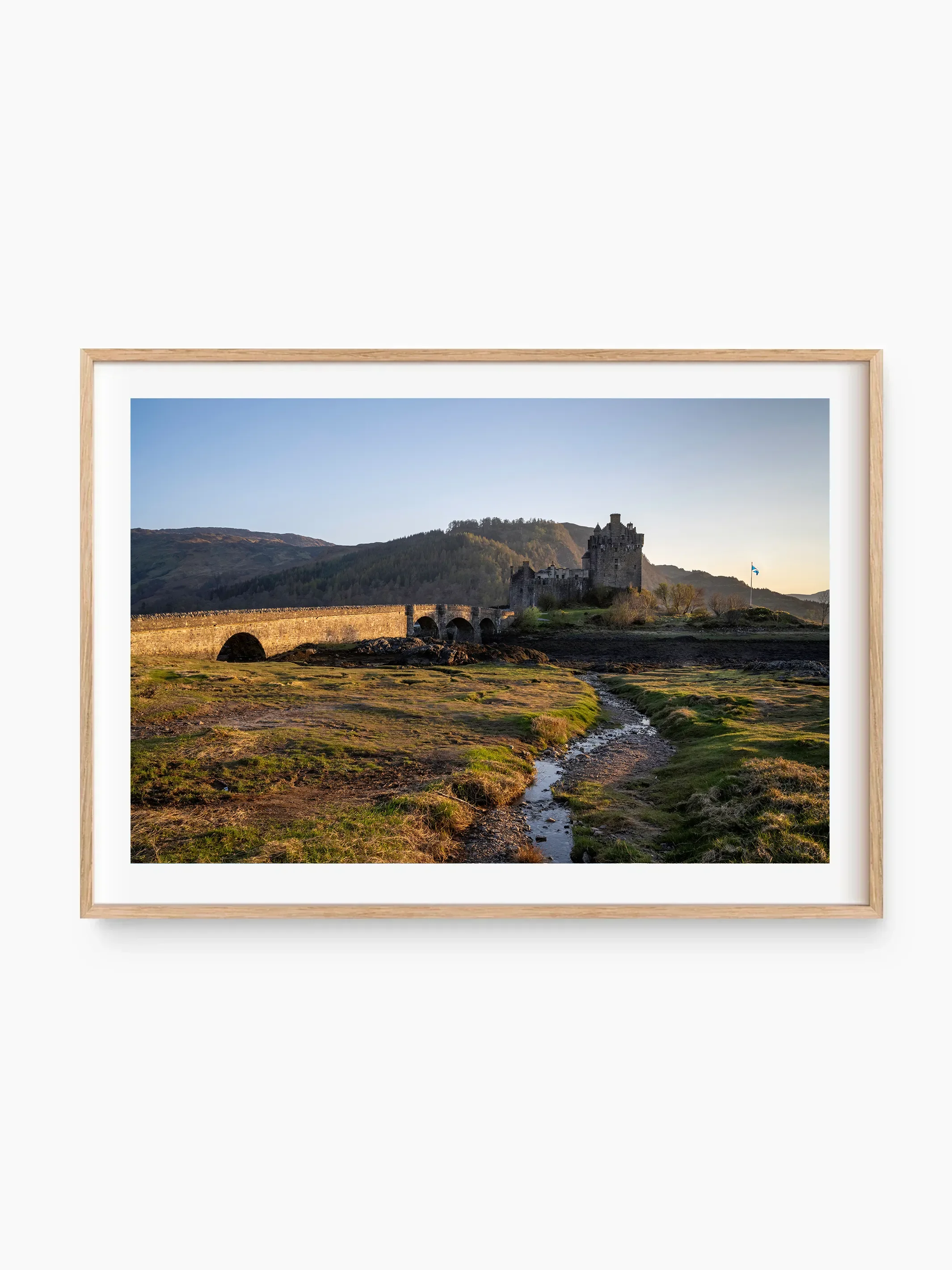 beech_template copy.webp