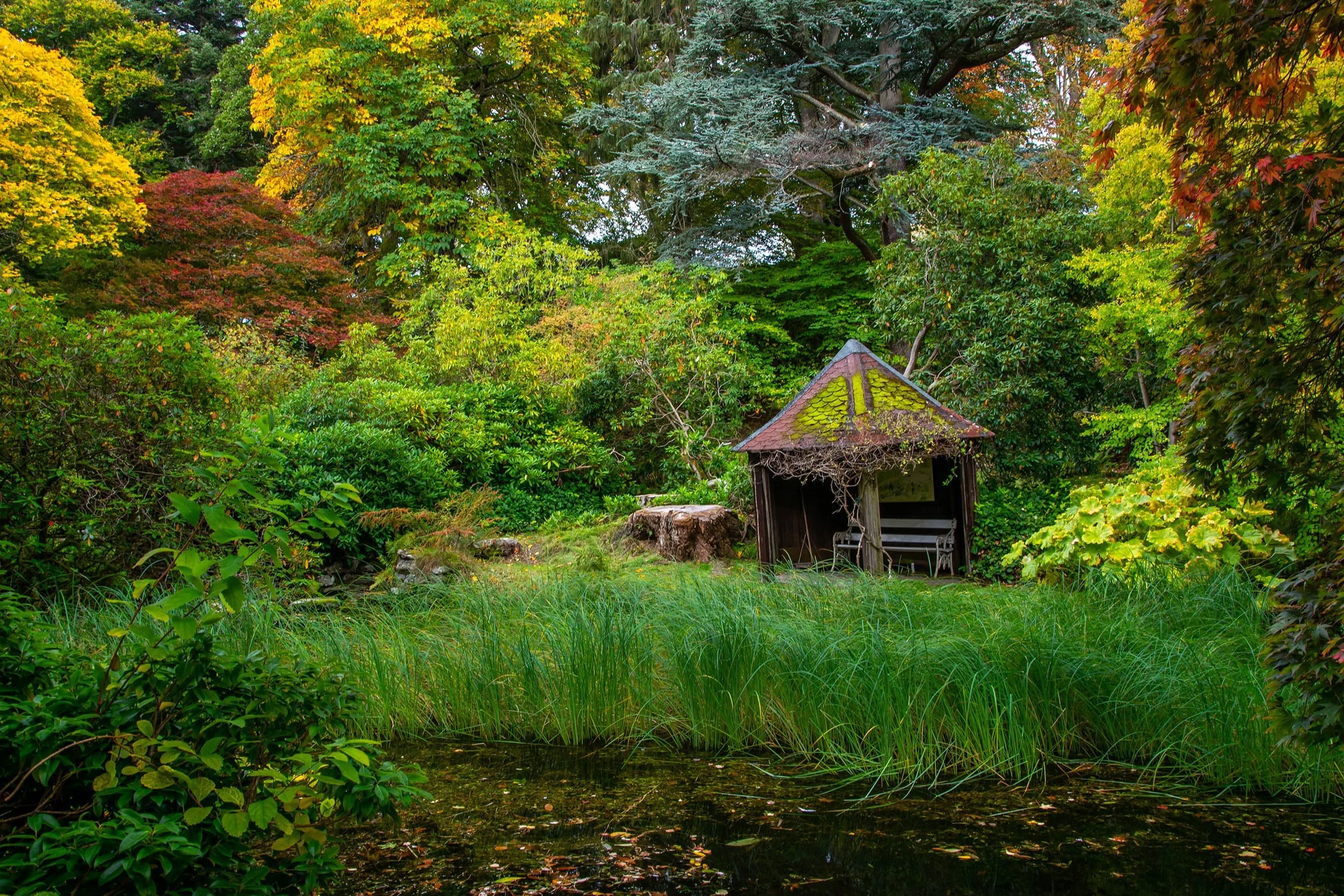Stobo Japanese Gardens, Nr Peebles