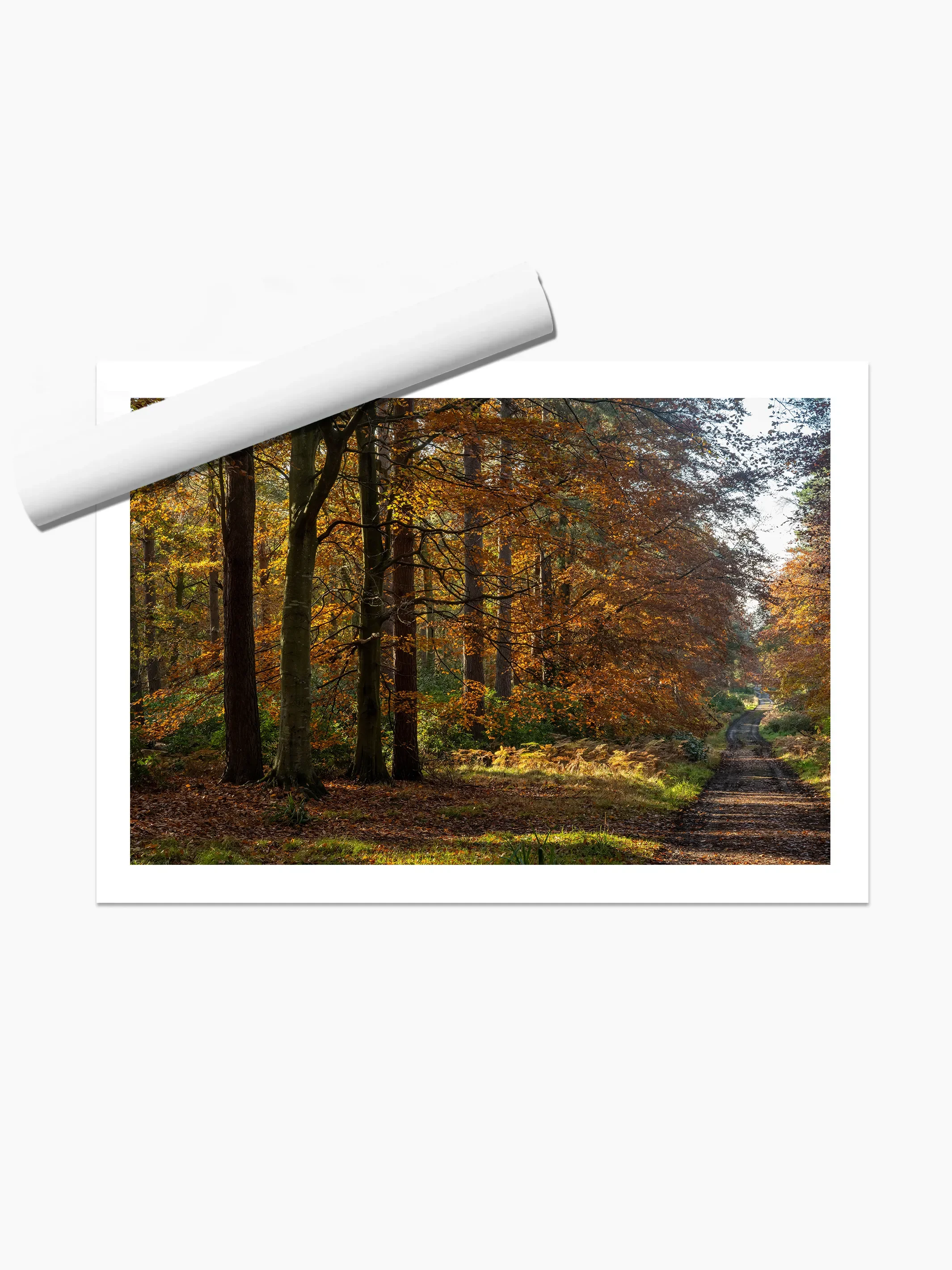 print template copy.webp