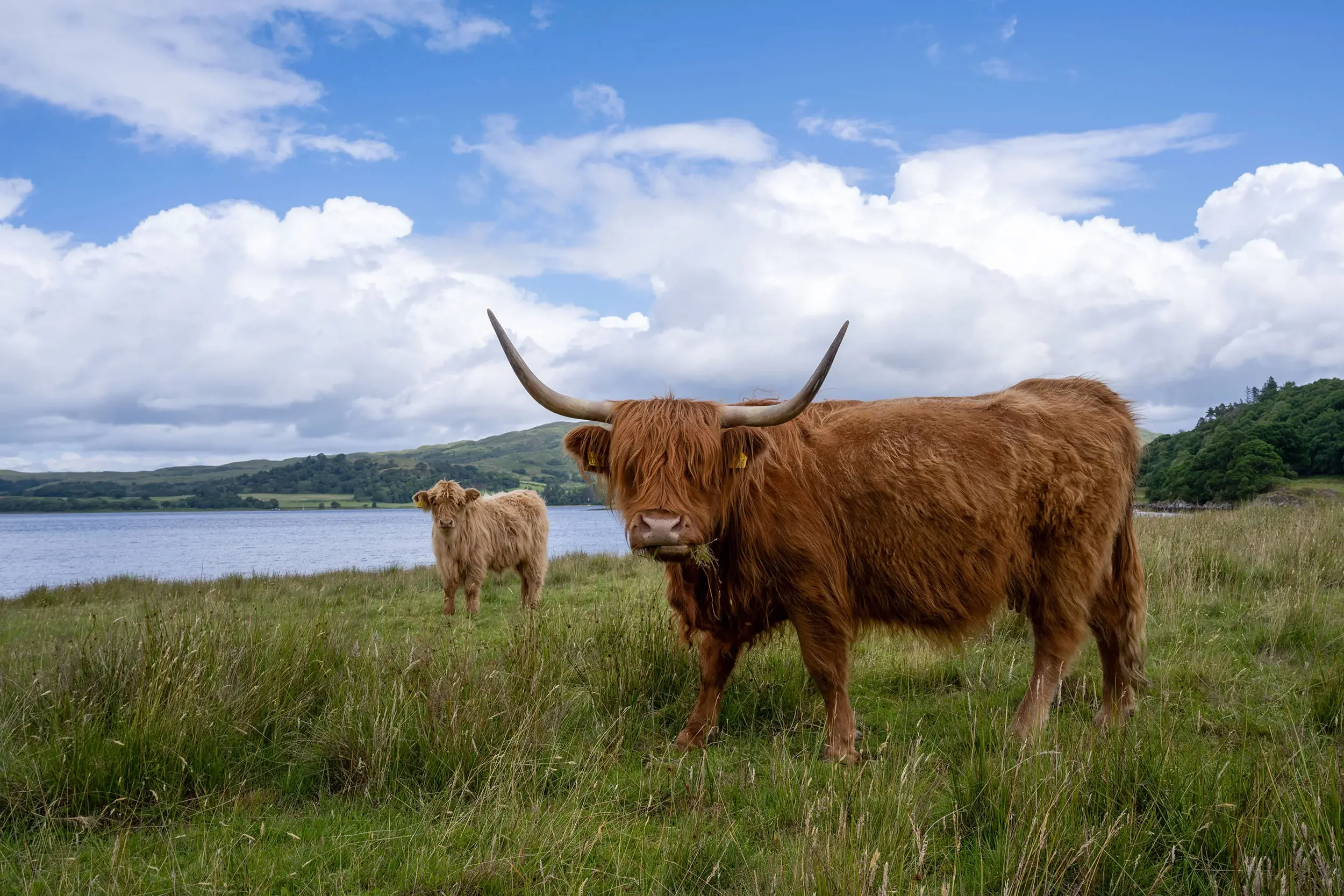 20230702-DSC_9081 (1).webp (Copy)