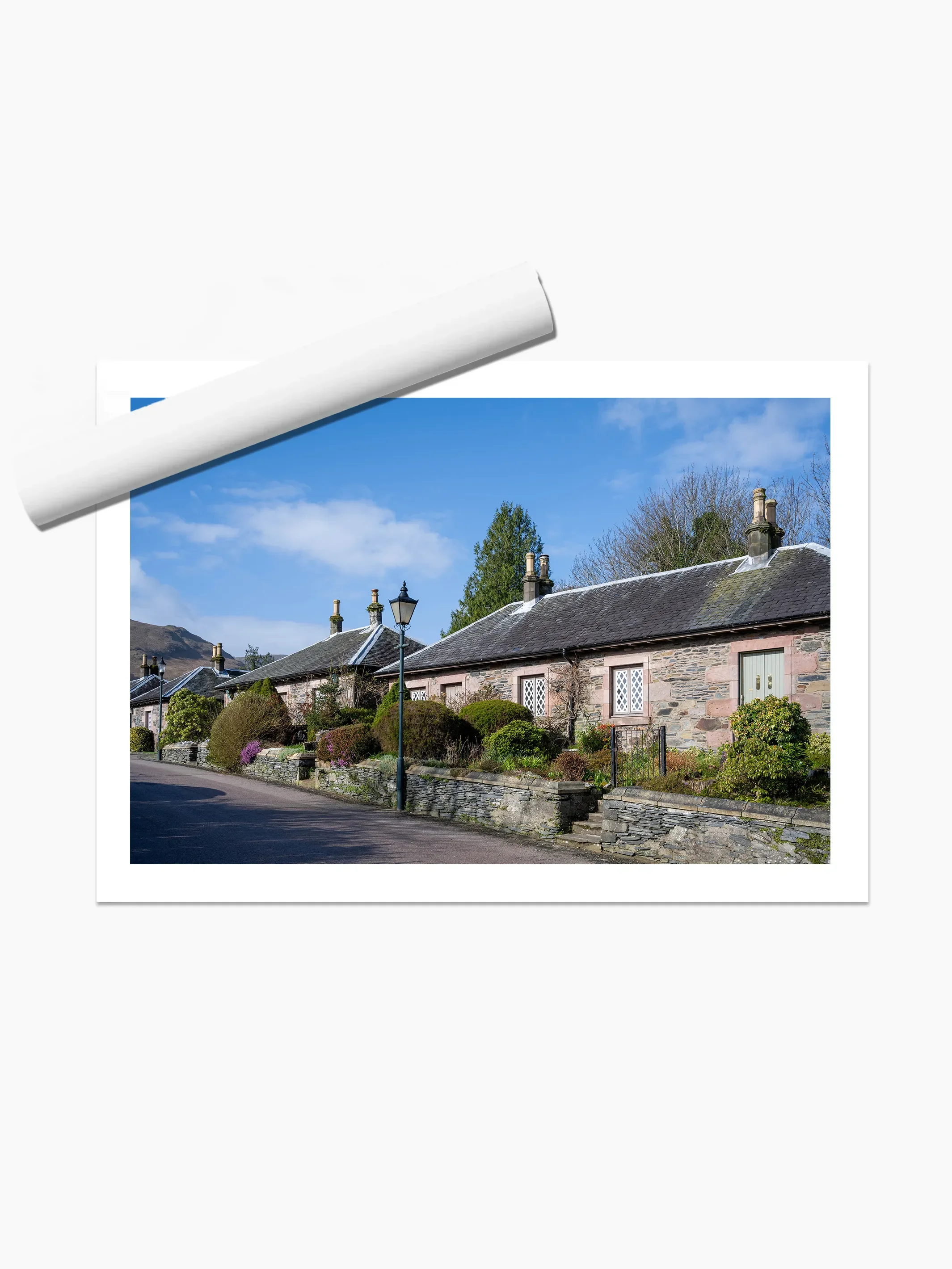 print template copy.webp