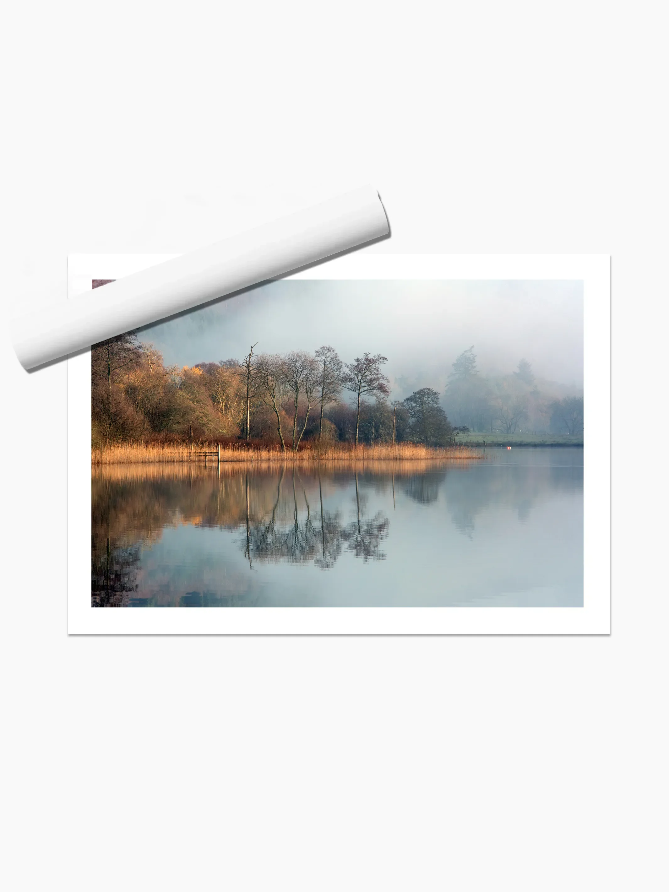 print template copy.webp