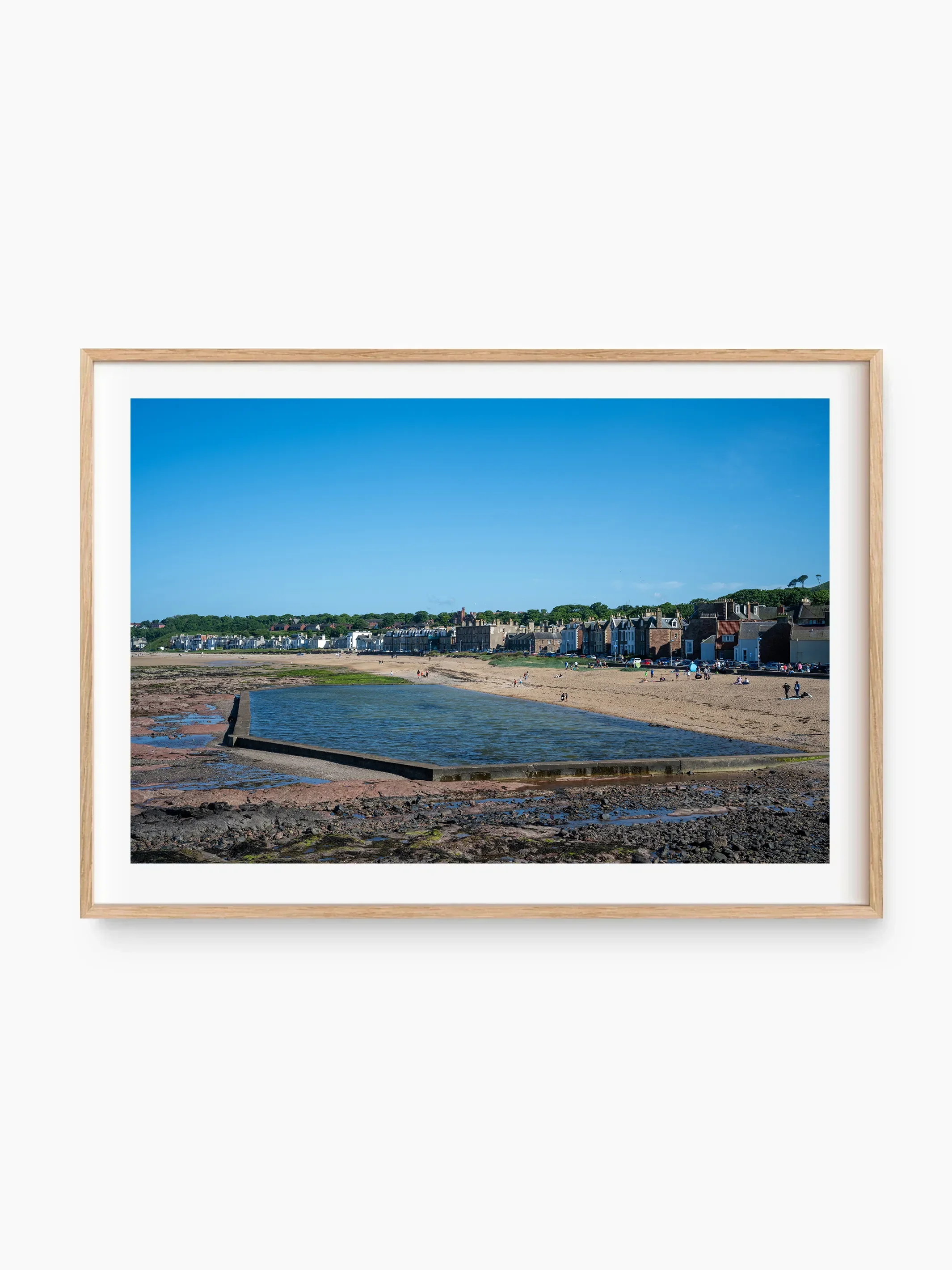 beech_template copy.webp