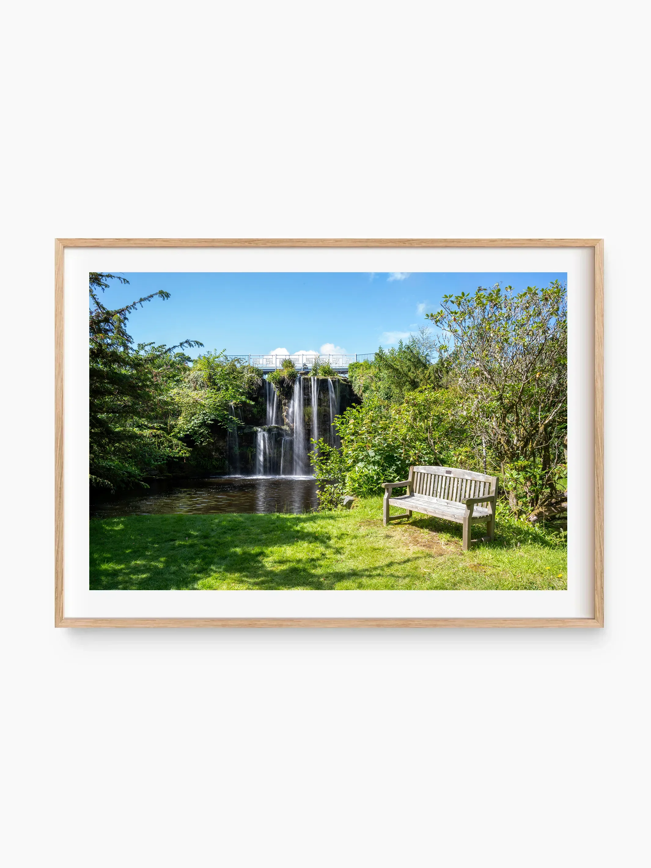 beech_template copy.webp