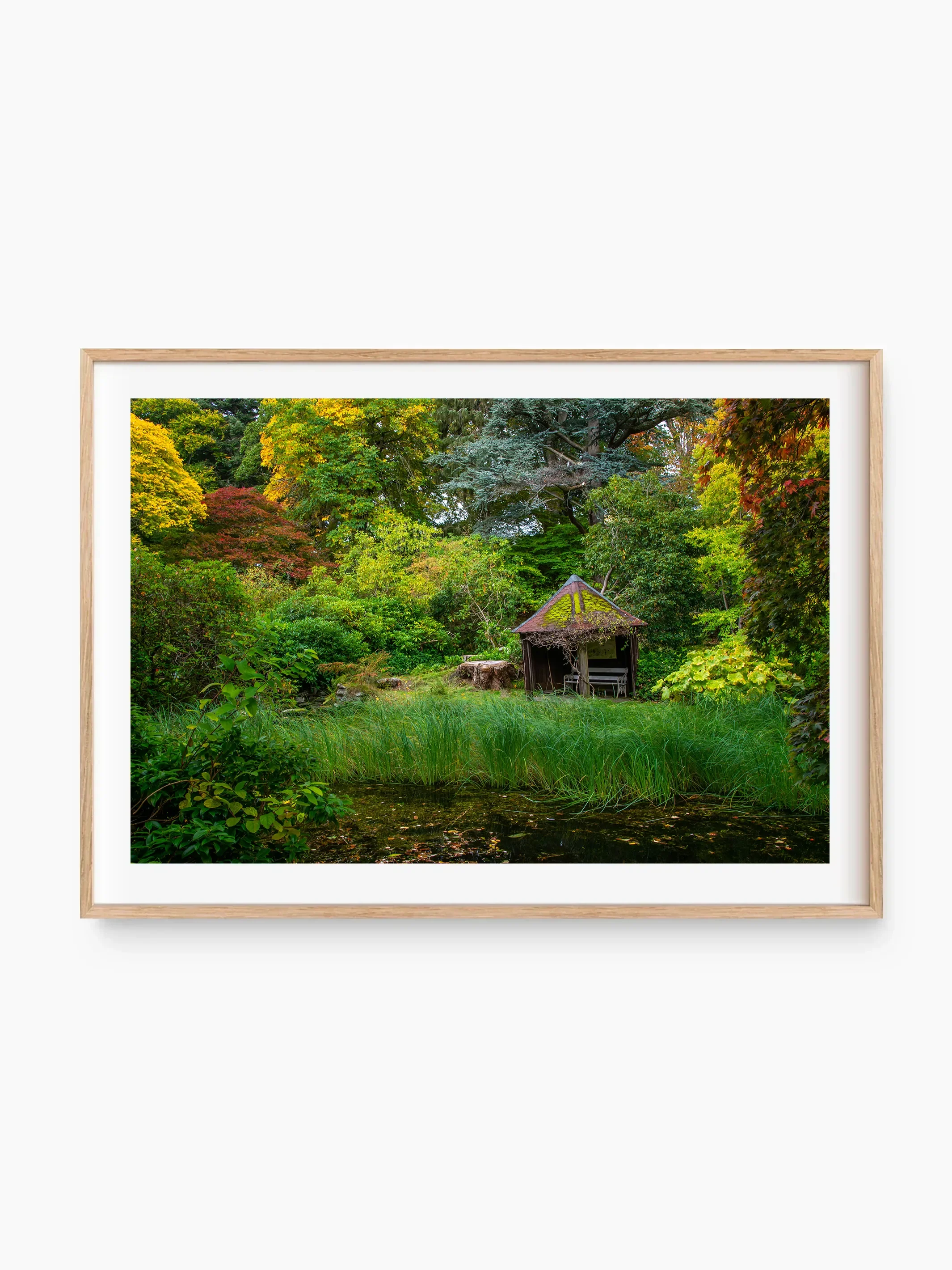 beech_template copy.webp