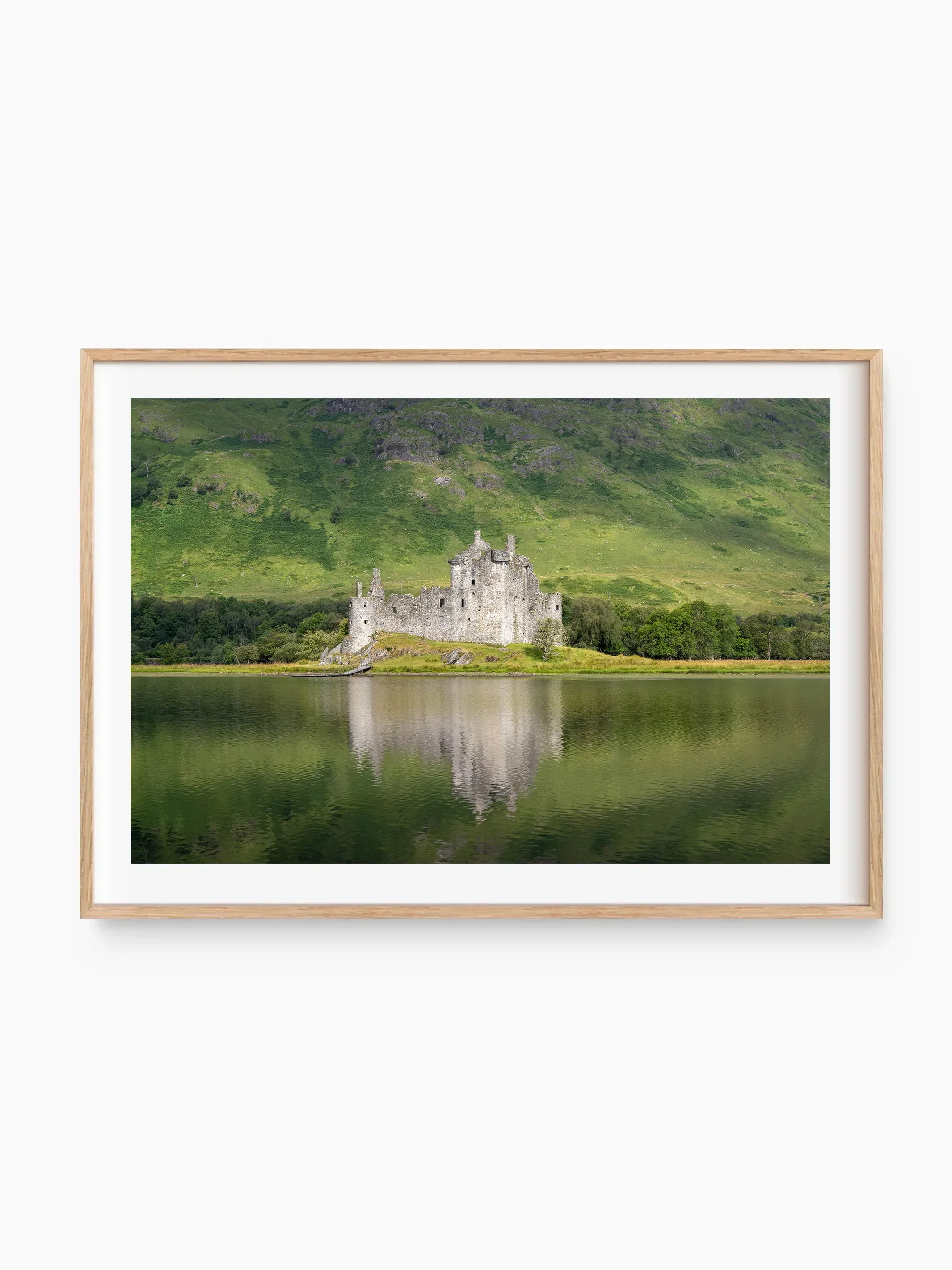 beech_template copy.webp