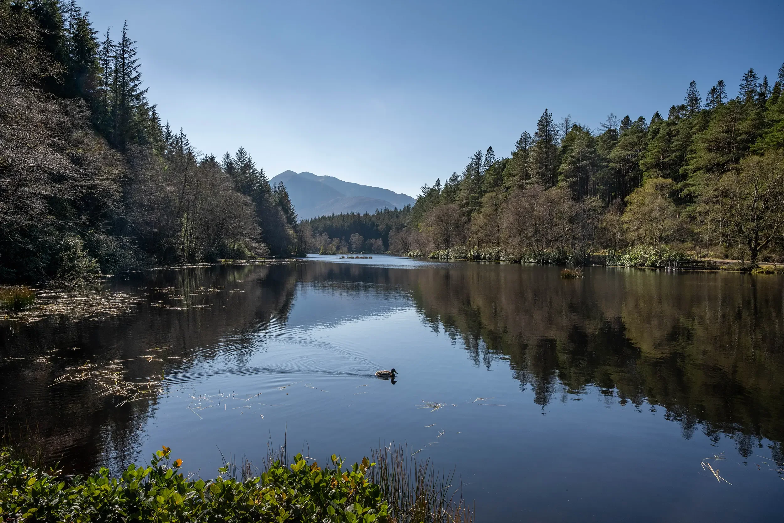 20250403-DSC_6911 copy 2.webp