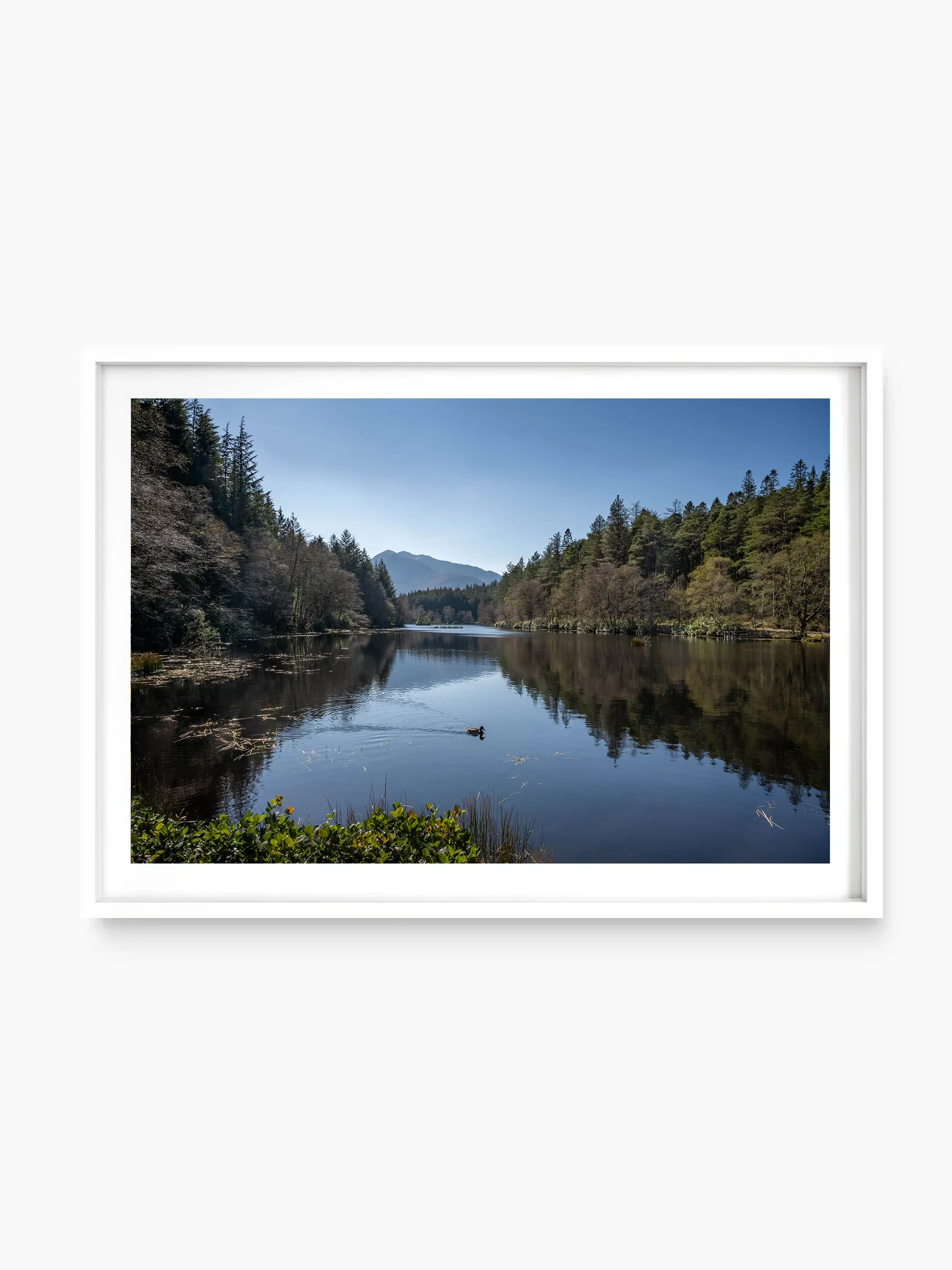 white_template copy.webp