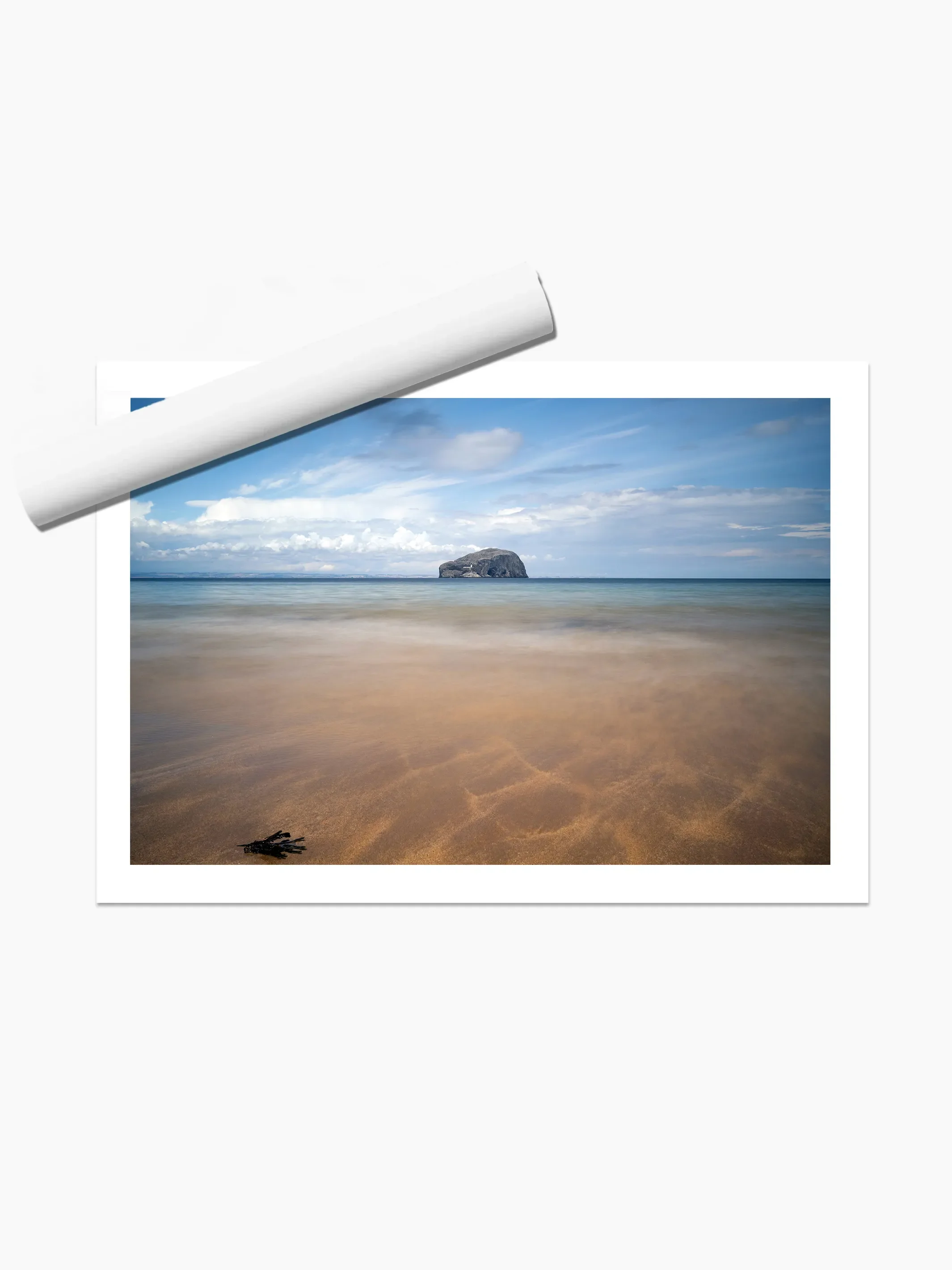 print template copy.webp