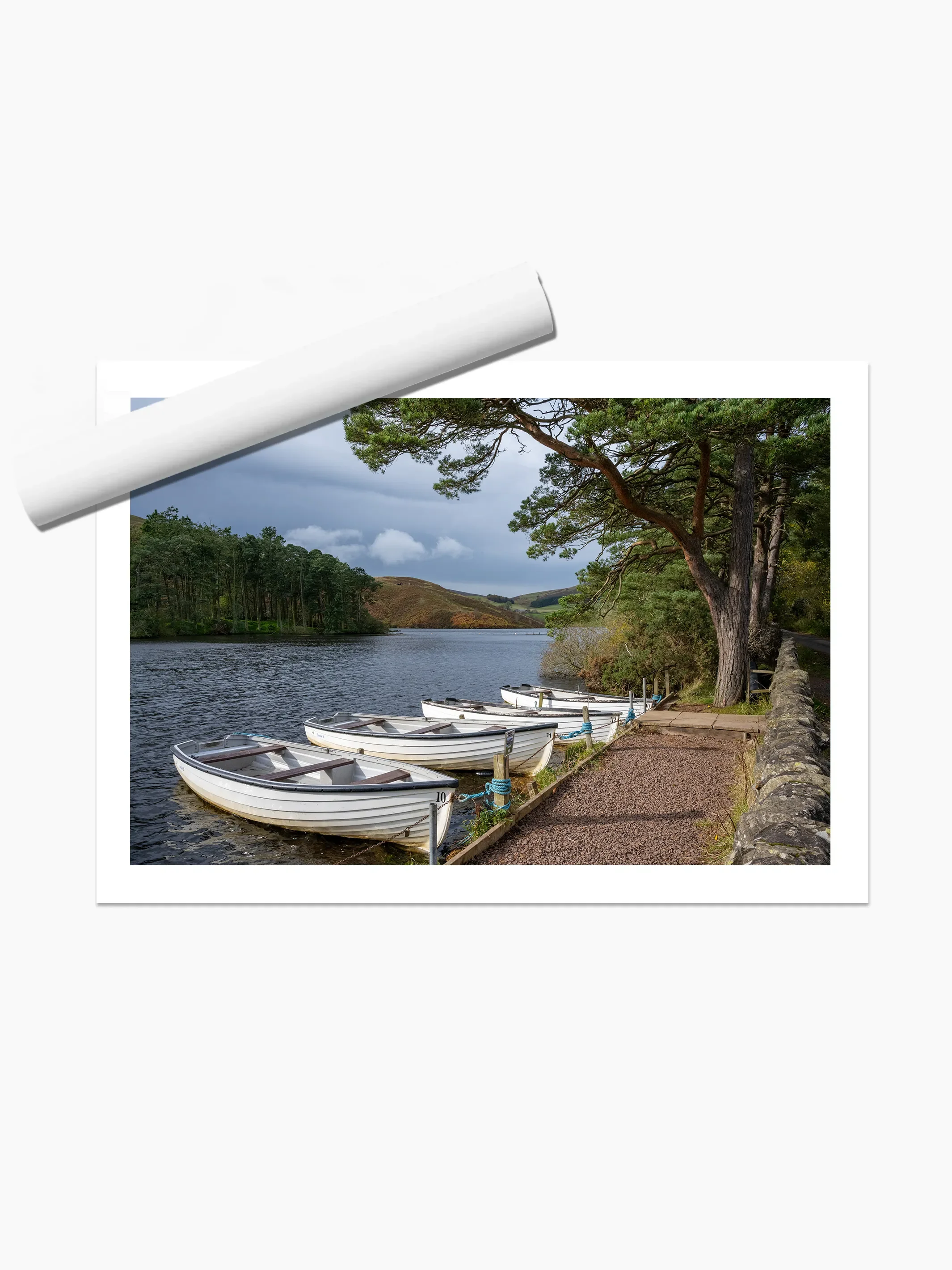 print template copy.webp