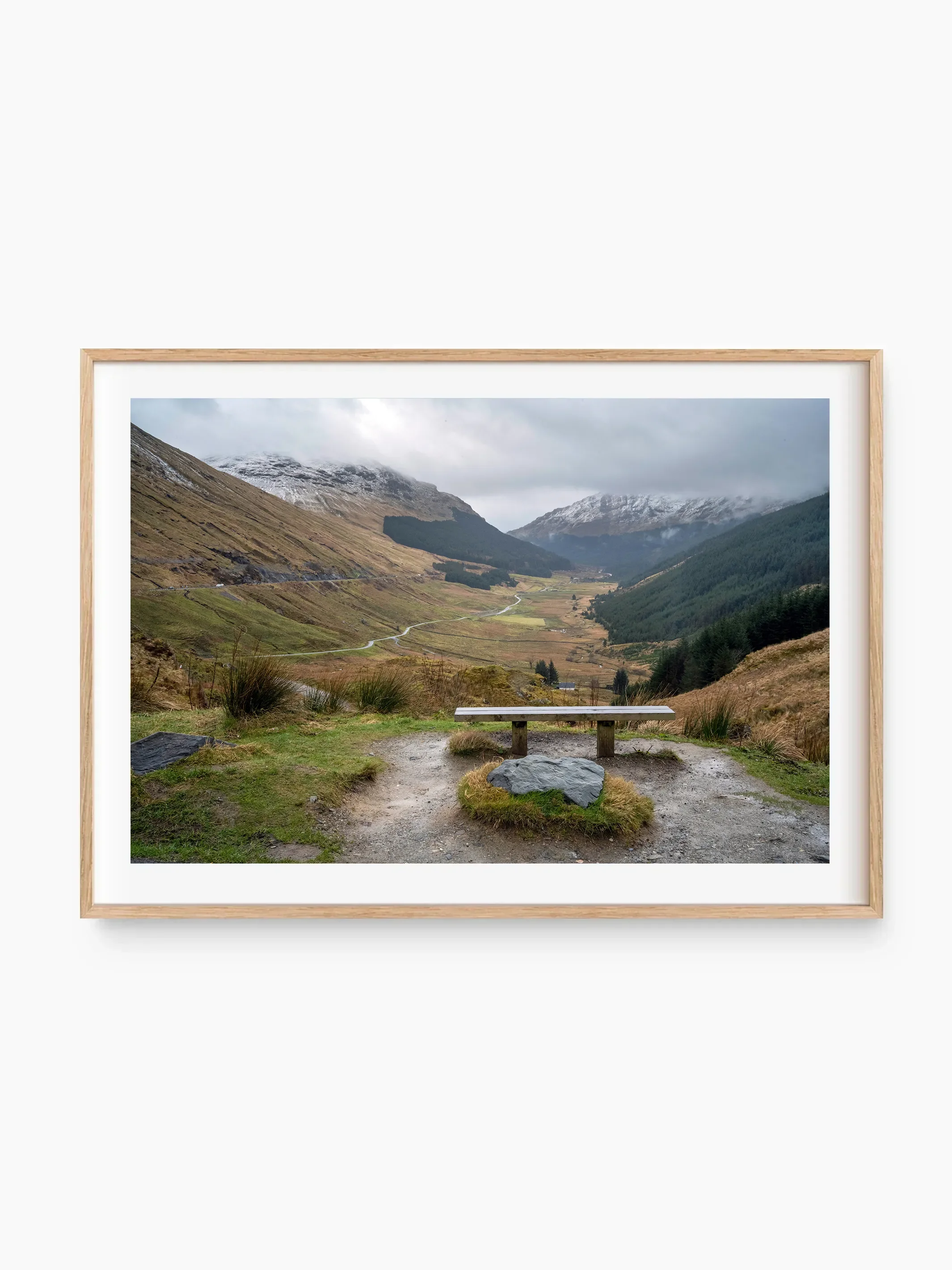 beech_template copy.webp