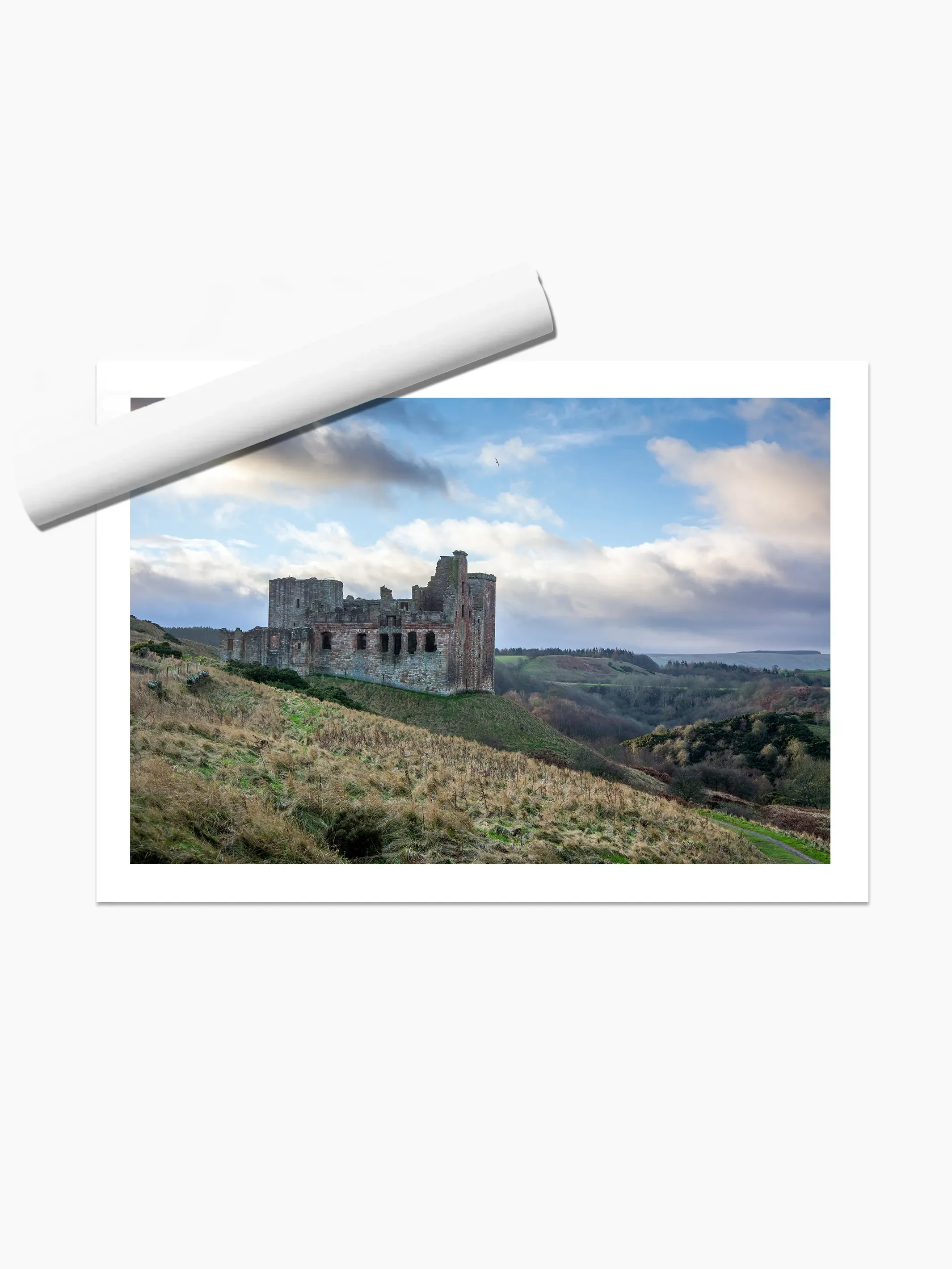 print template copy.webp