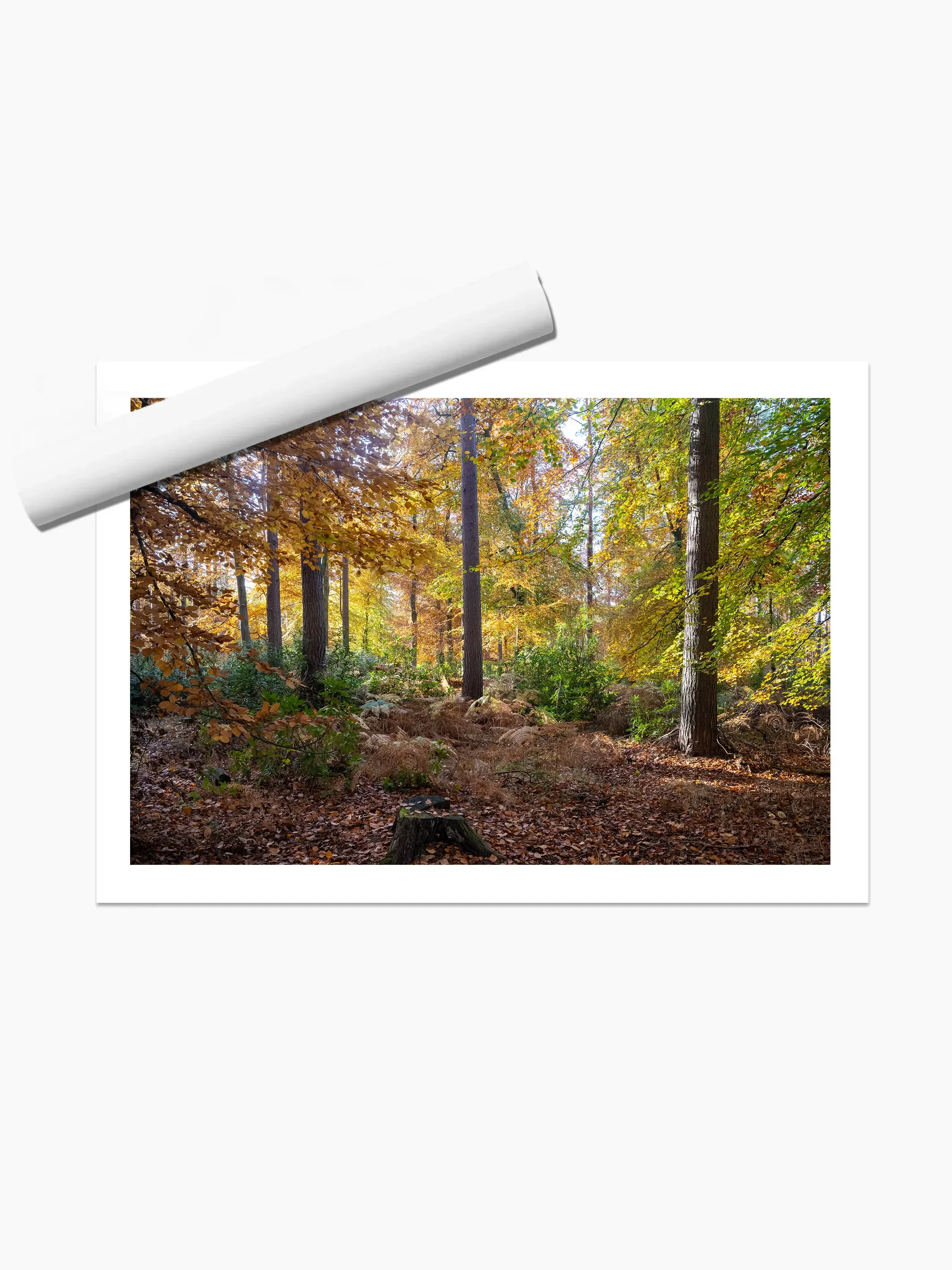 print template copy.webp