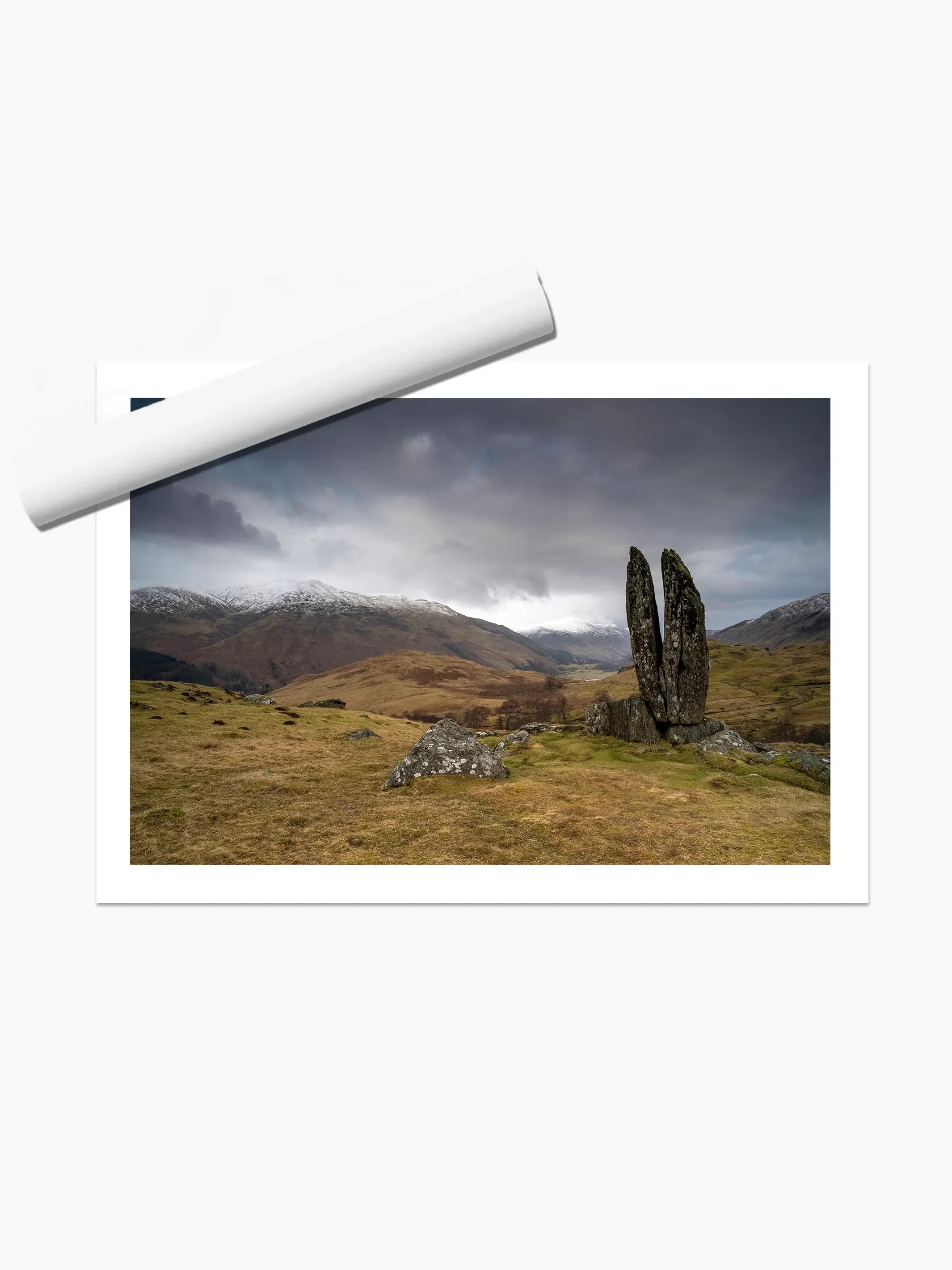 print template copy.webp