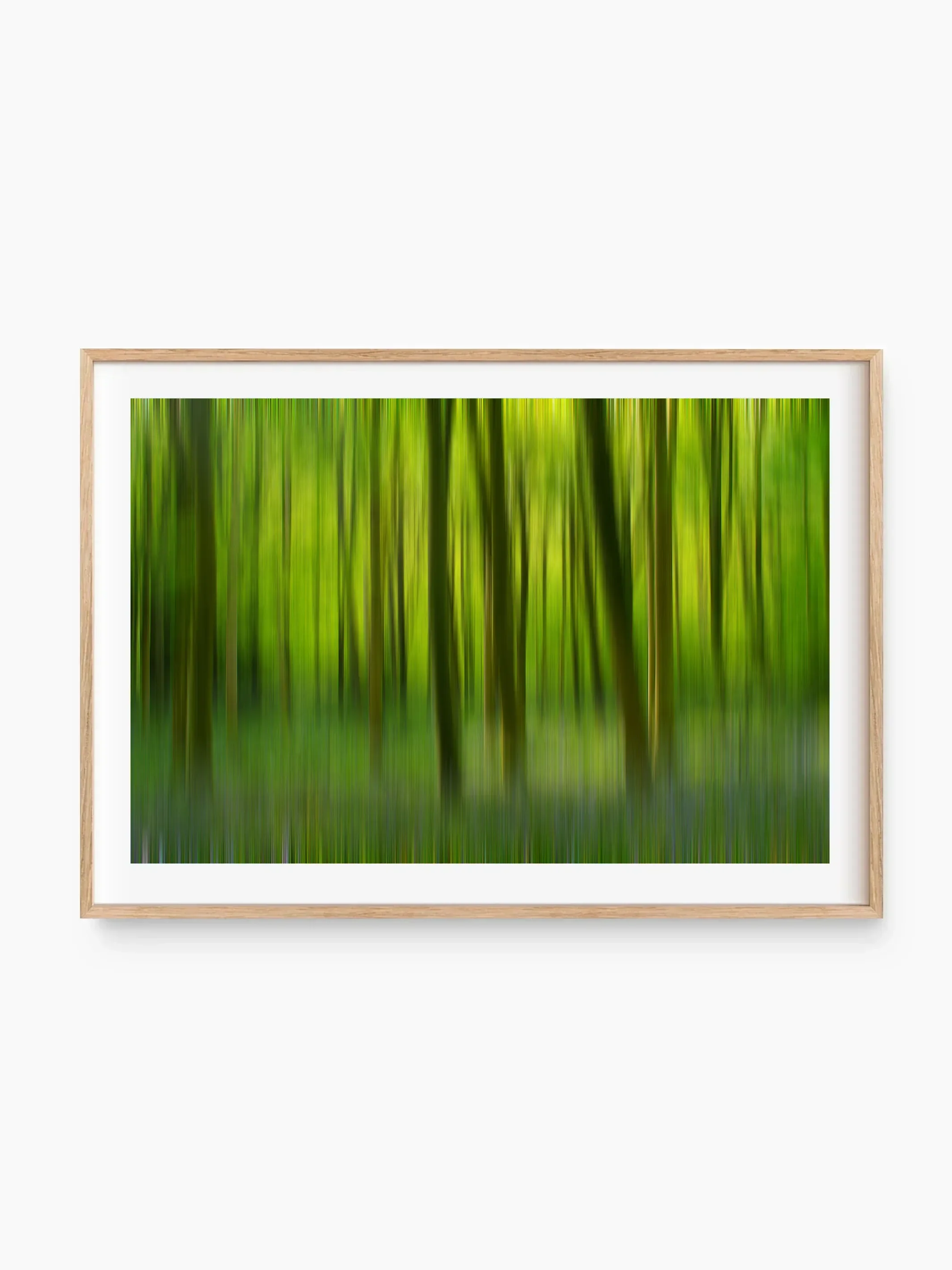 beech_template copy.webp