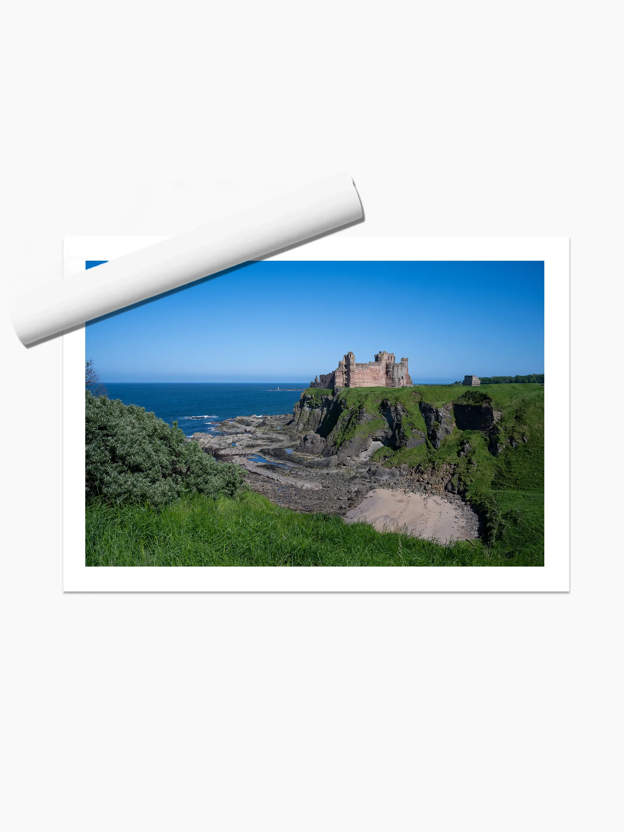 print template copy.webp