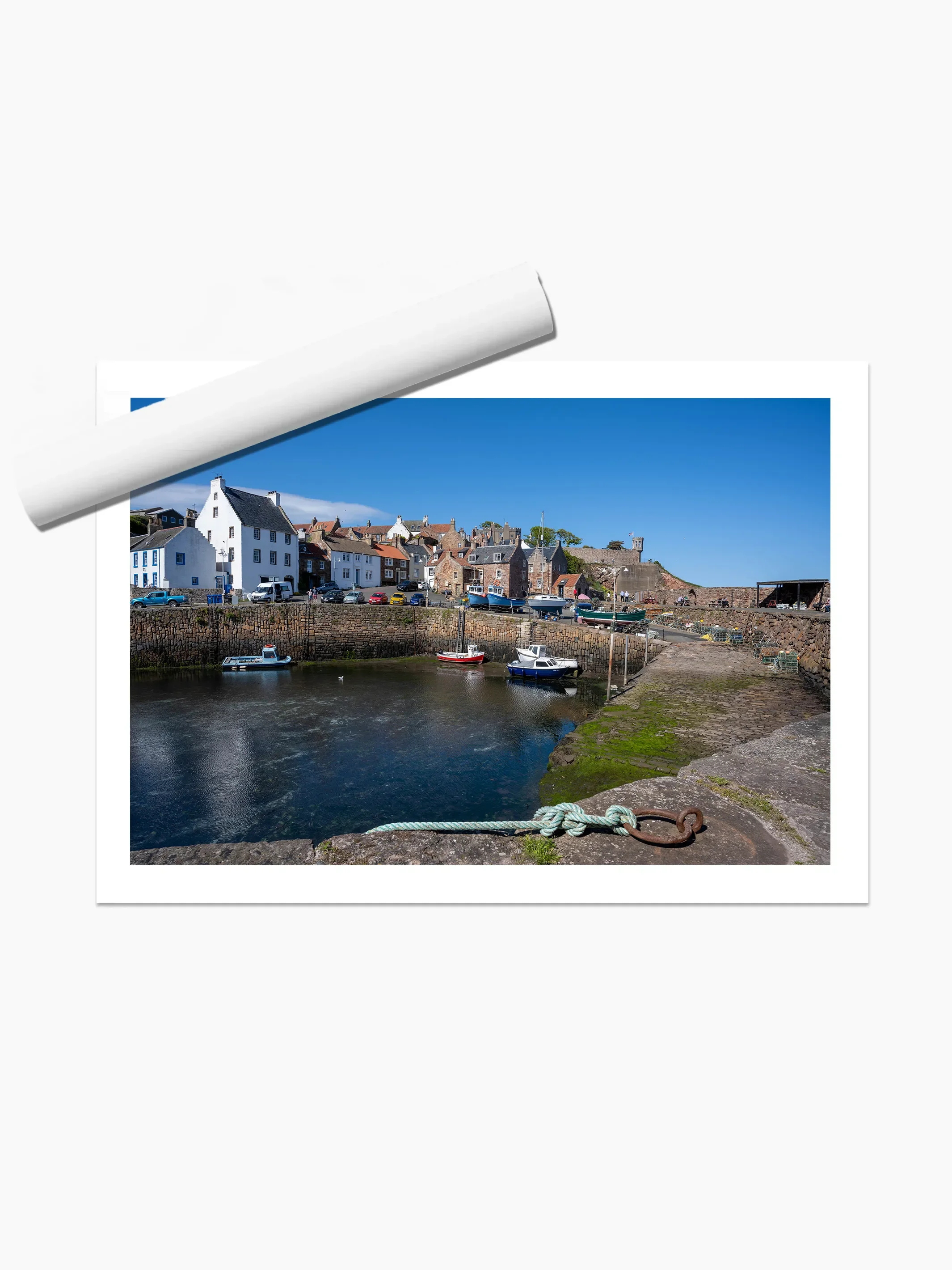 print template copy.webp