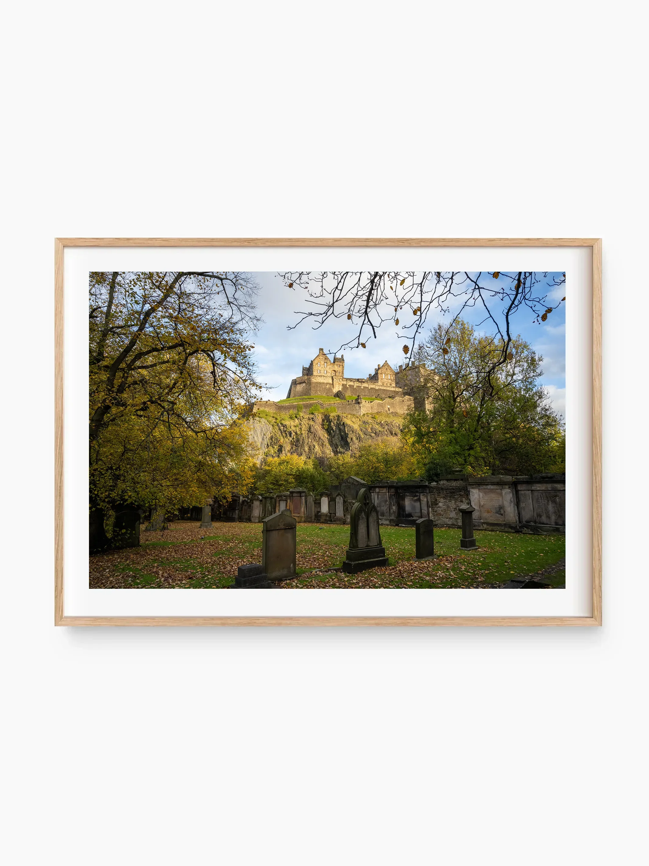 beech_template copy.webp