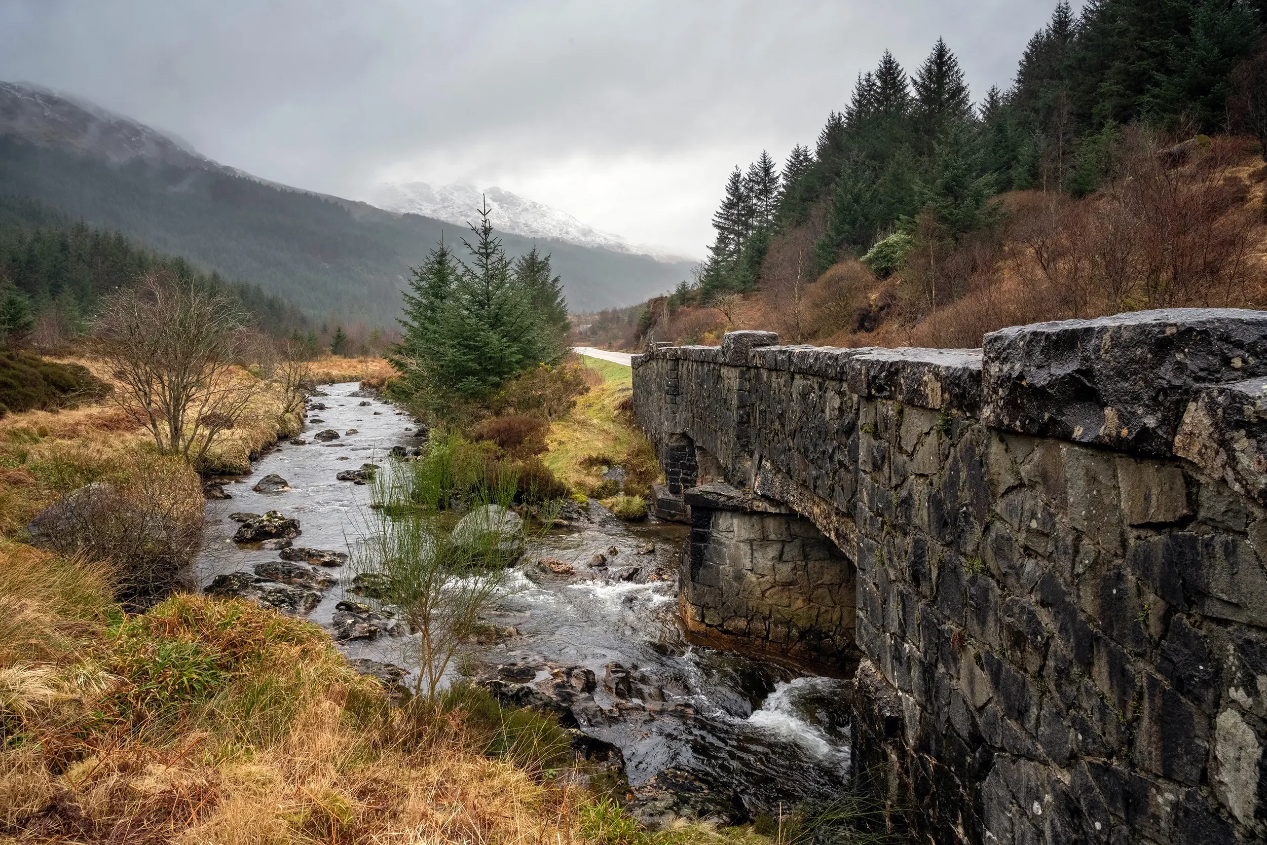 Nr Arrochar, Loch Lomond