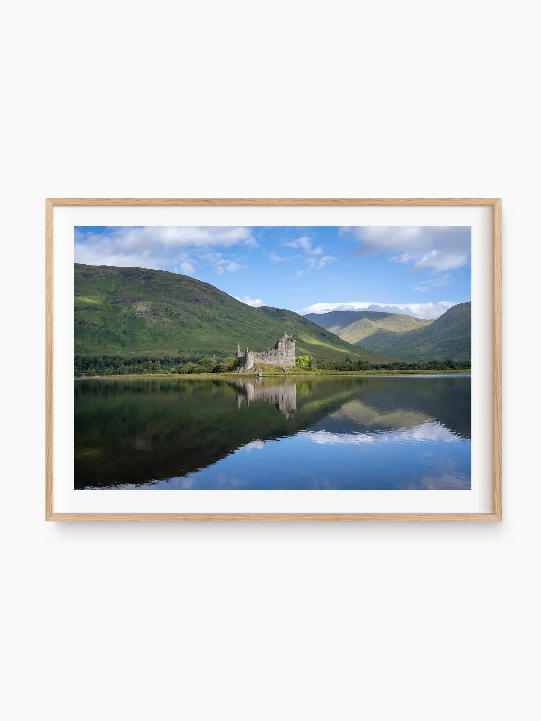 beech_template copy.webp