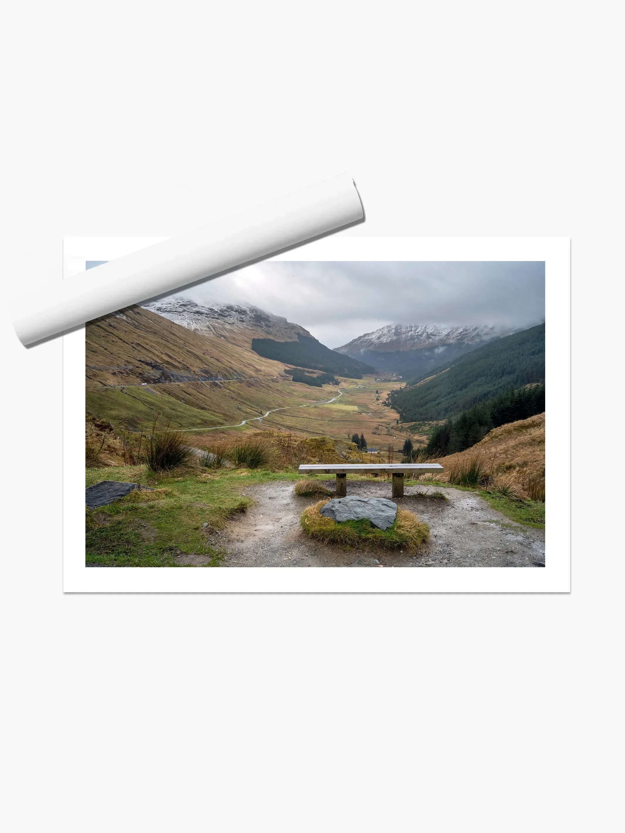 print template copy.webp