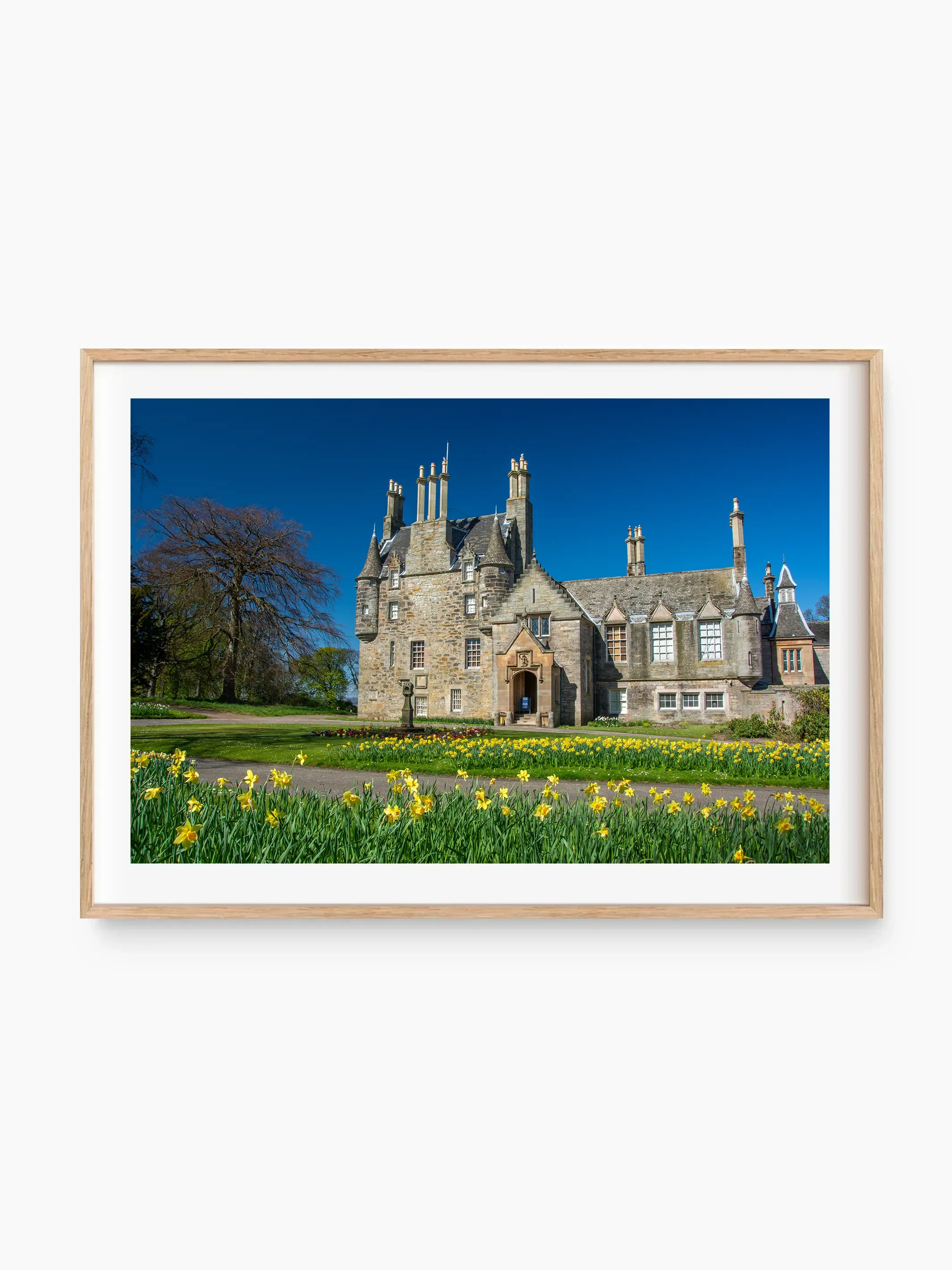 beech_template copy.webp