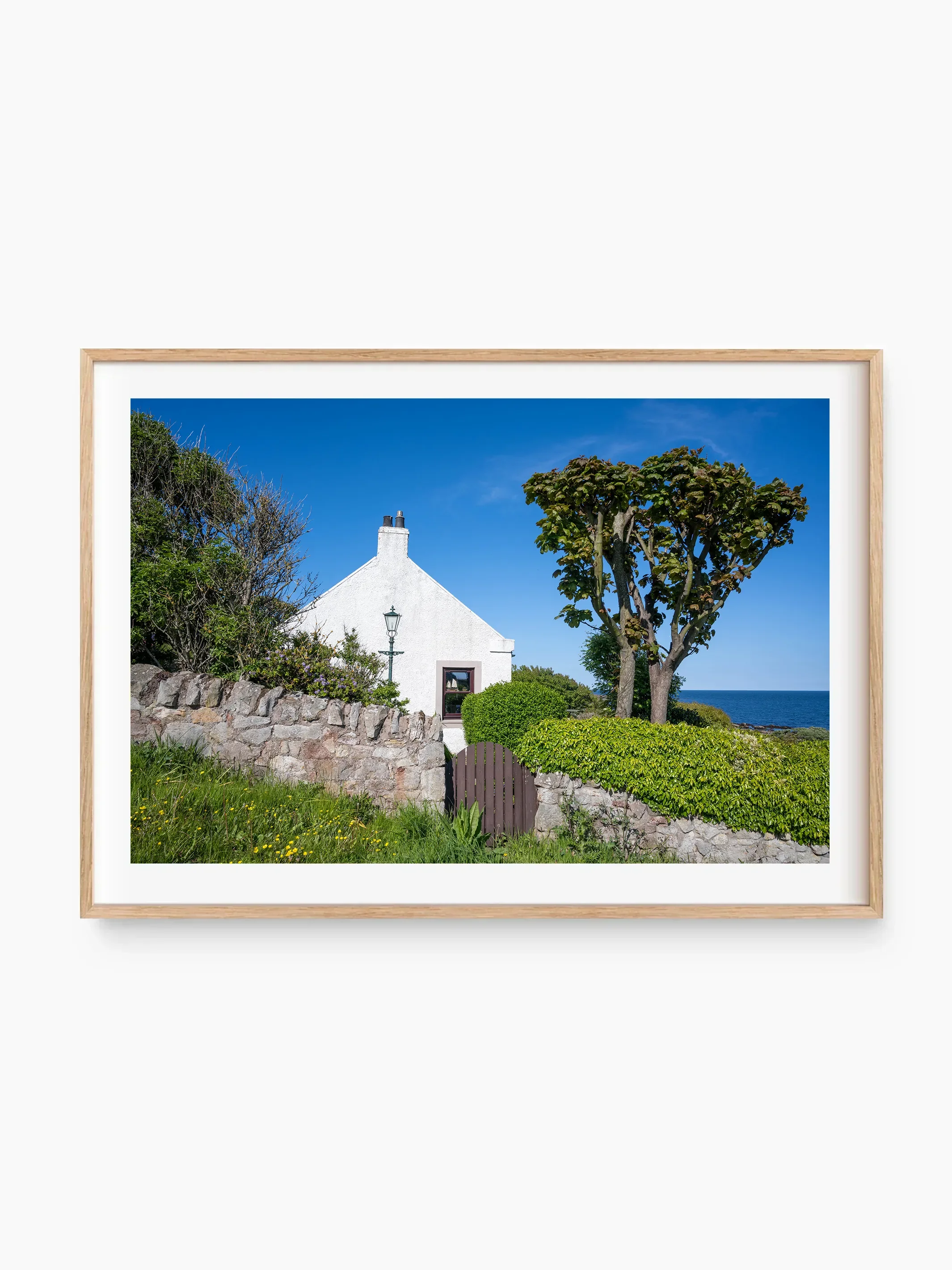 beech_template copy.webp