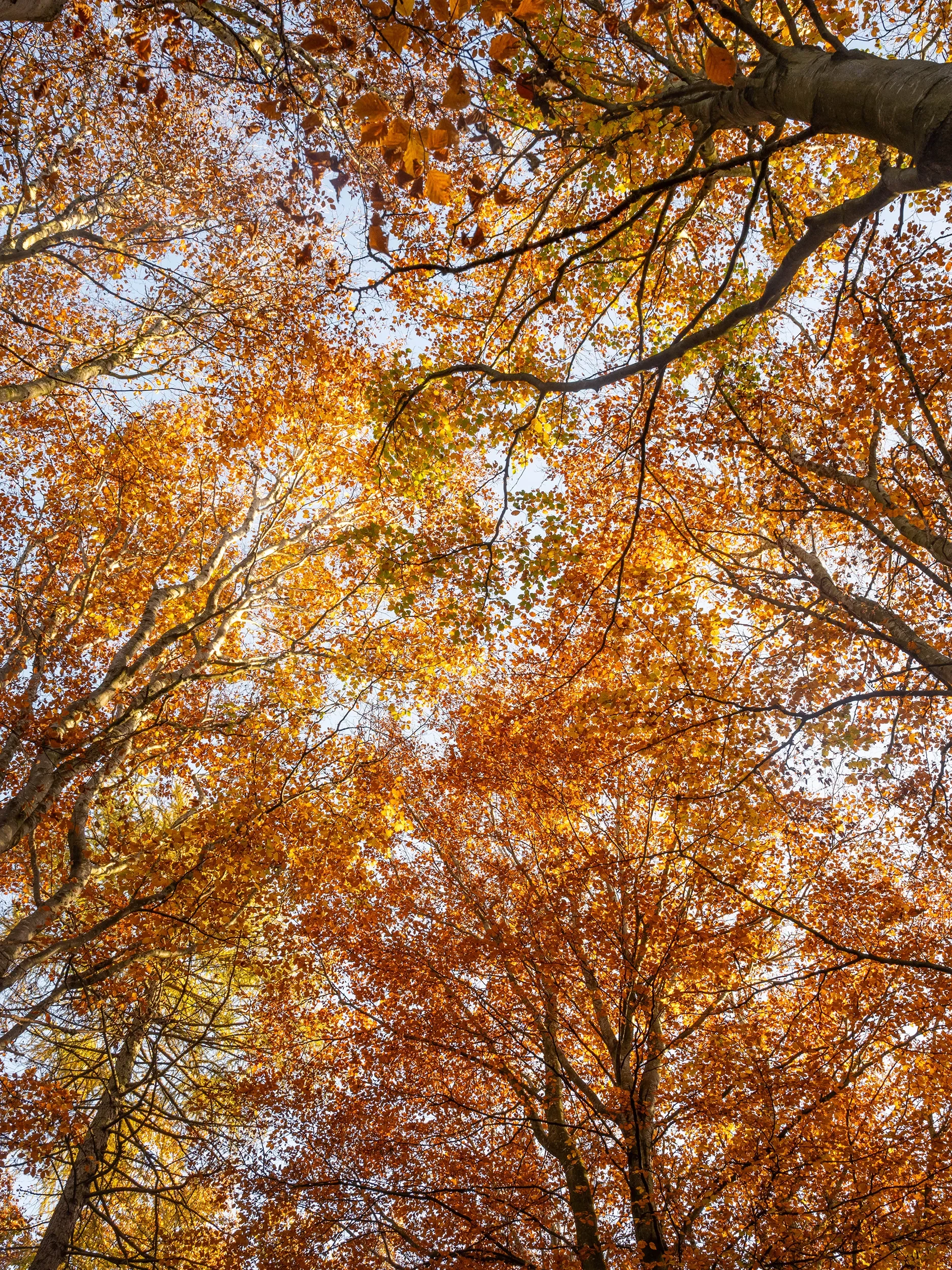 A tall modern glass building reflected in a river with a cloudy sky above.