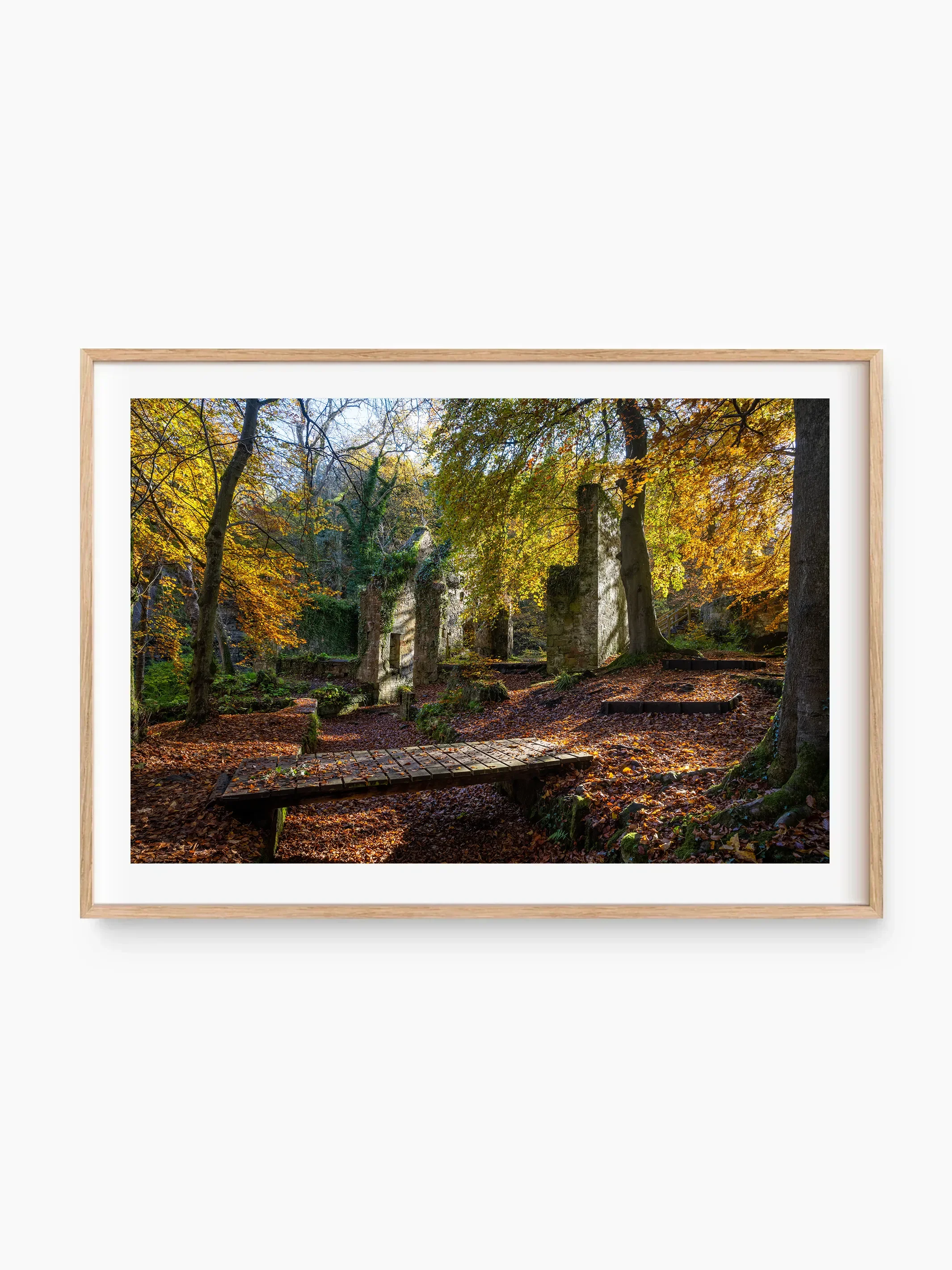 beech_template copy.webp