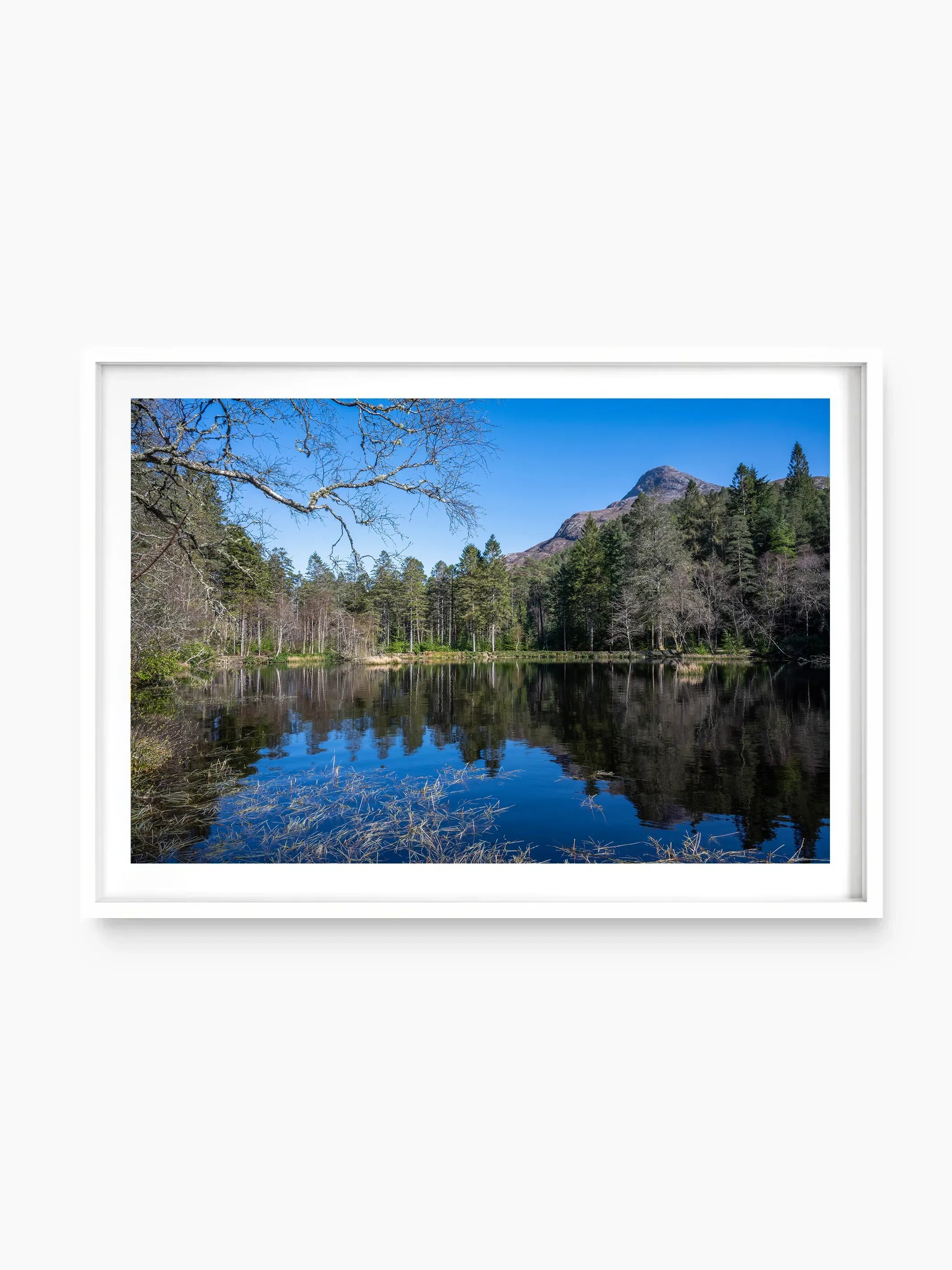 white_template copy.webp