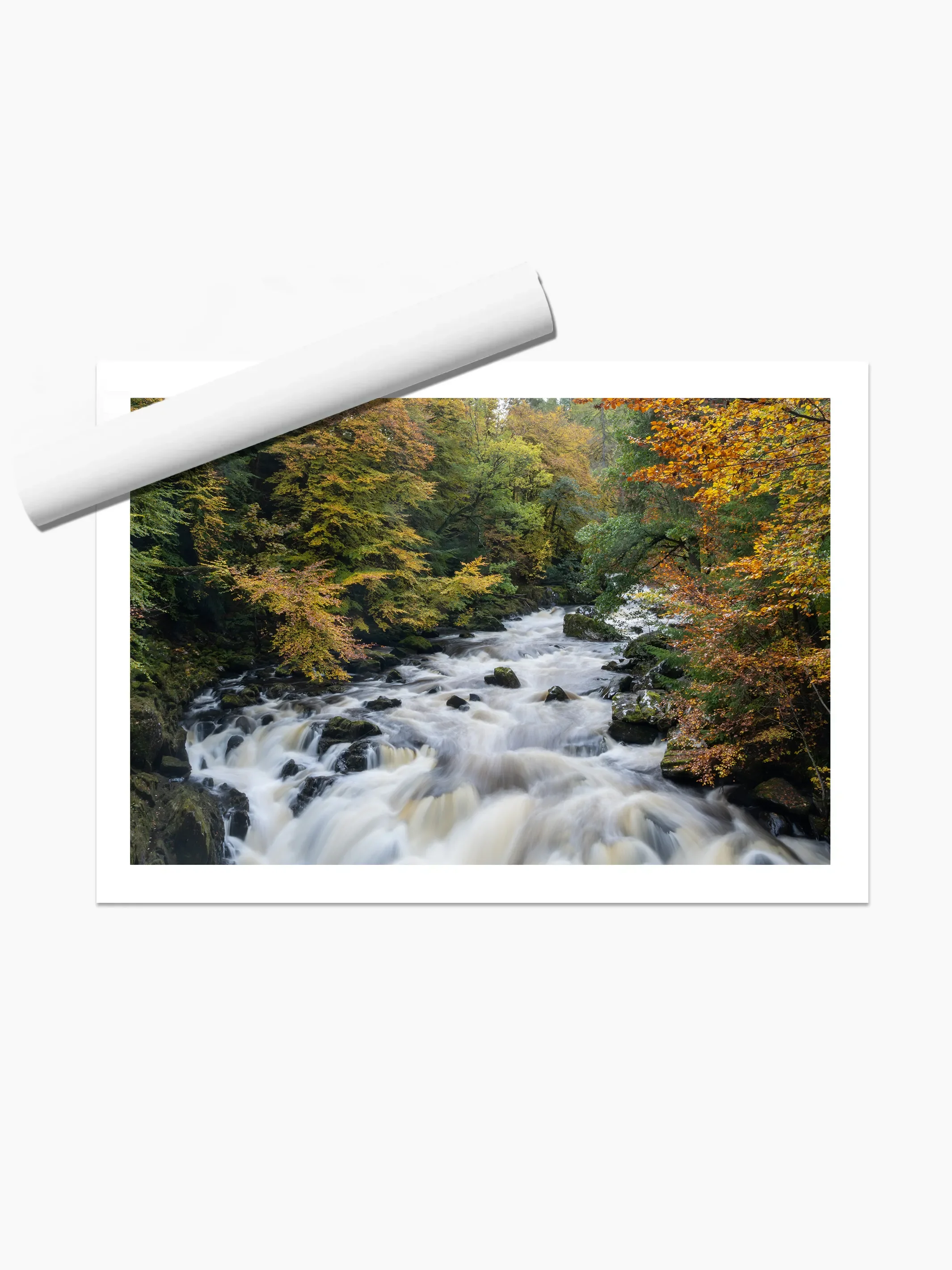 print template copy.webp