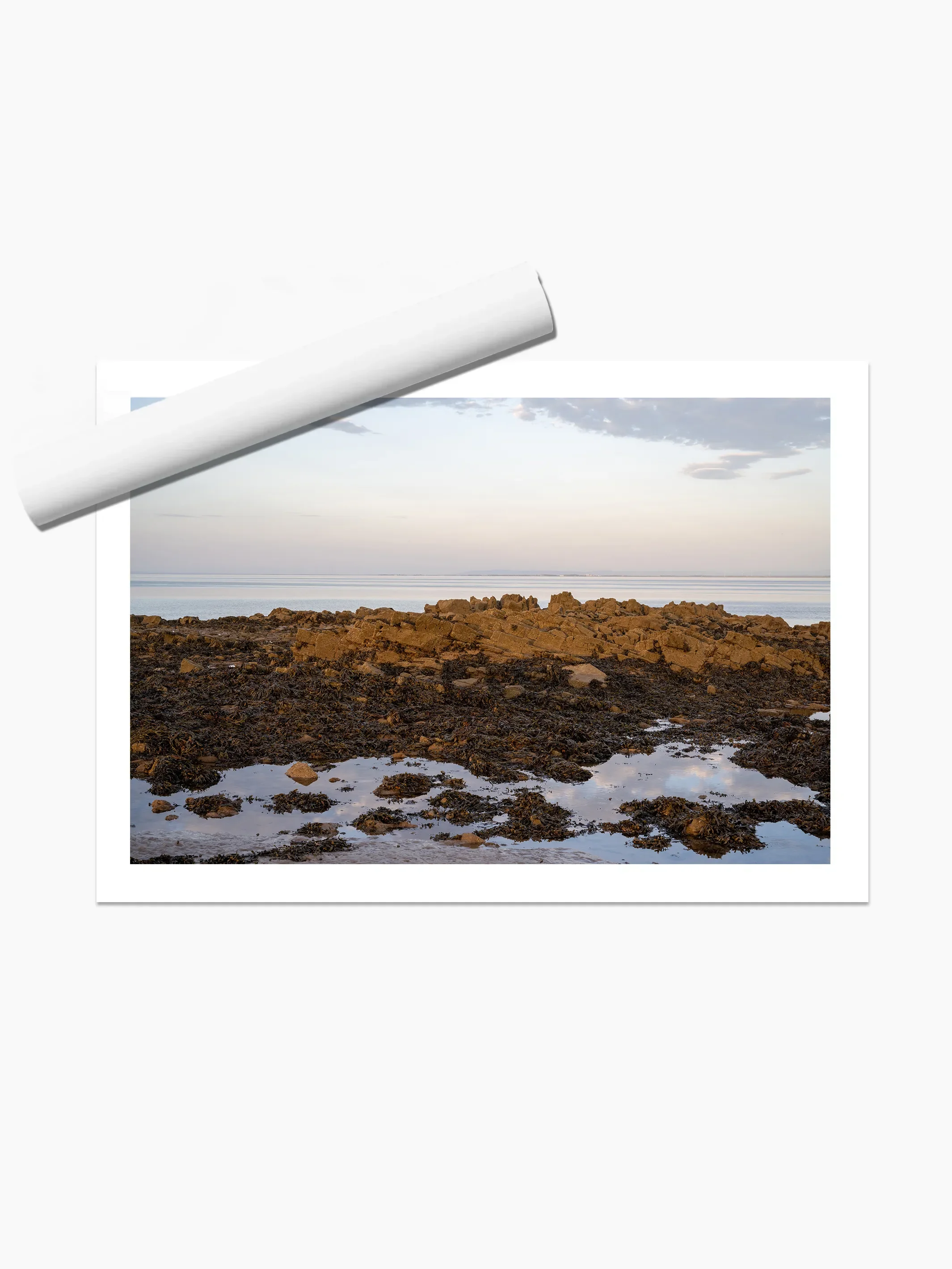 print template copy.webp