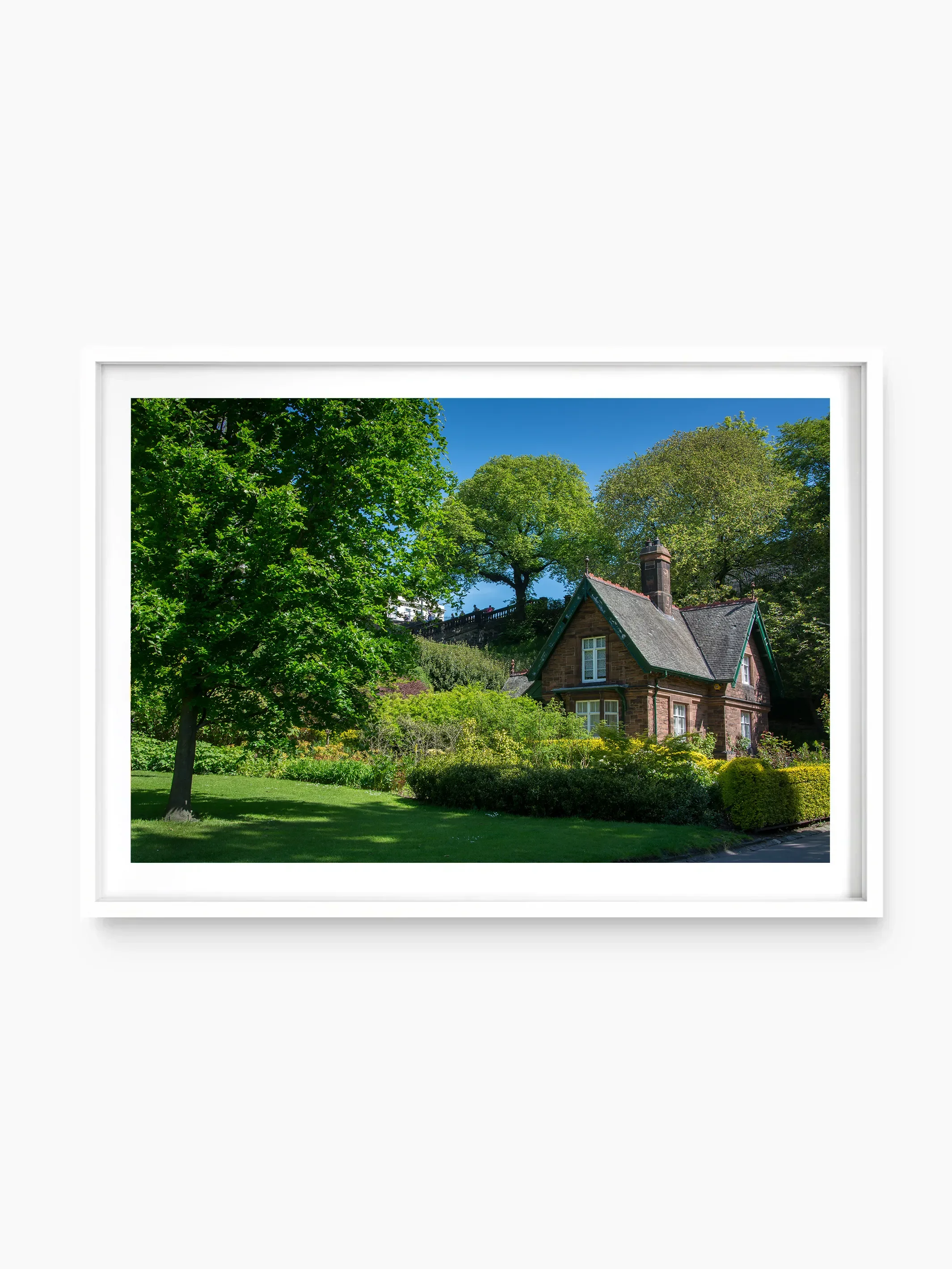 white_template copy.webp