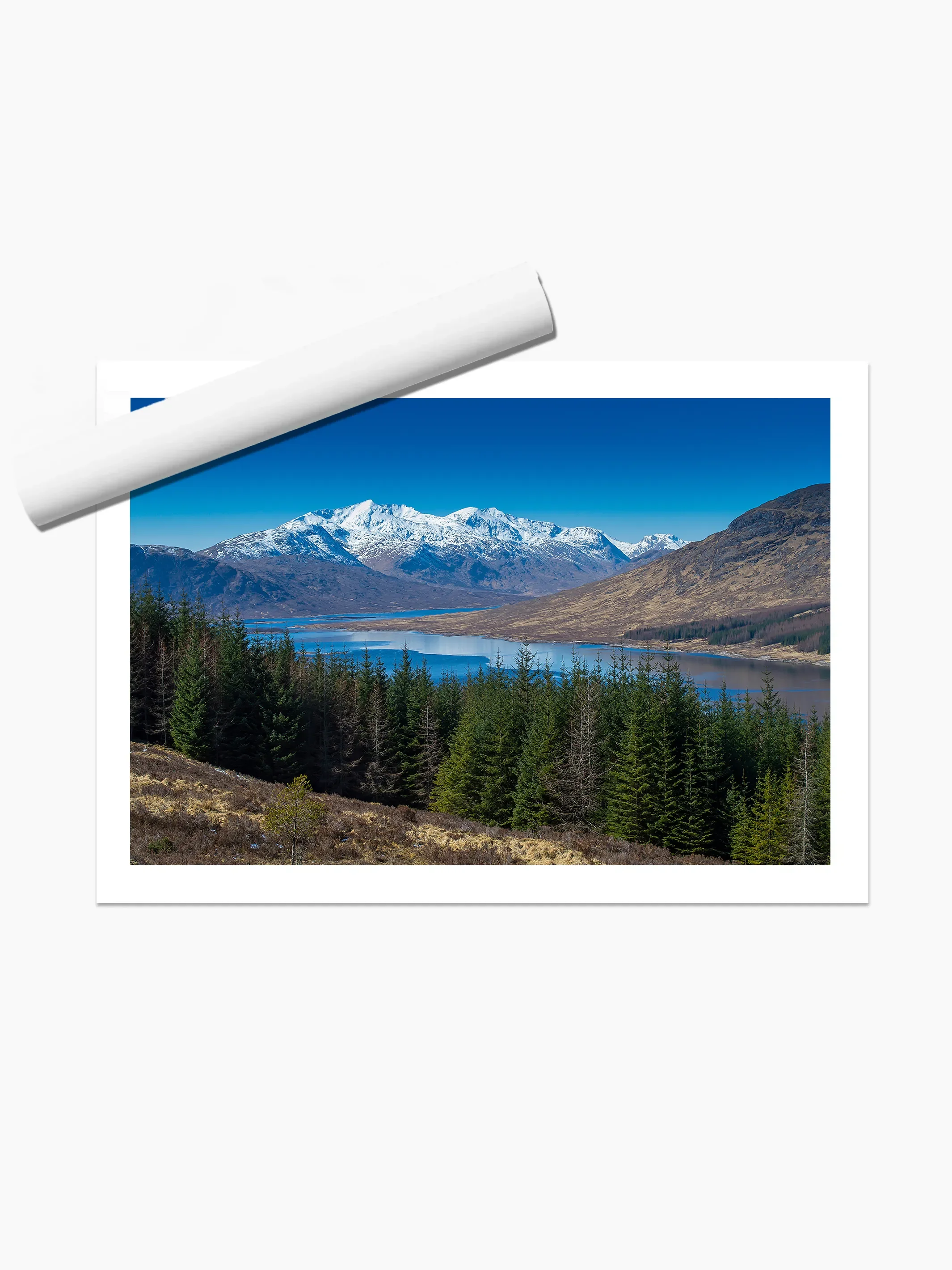 print template copy.webp