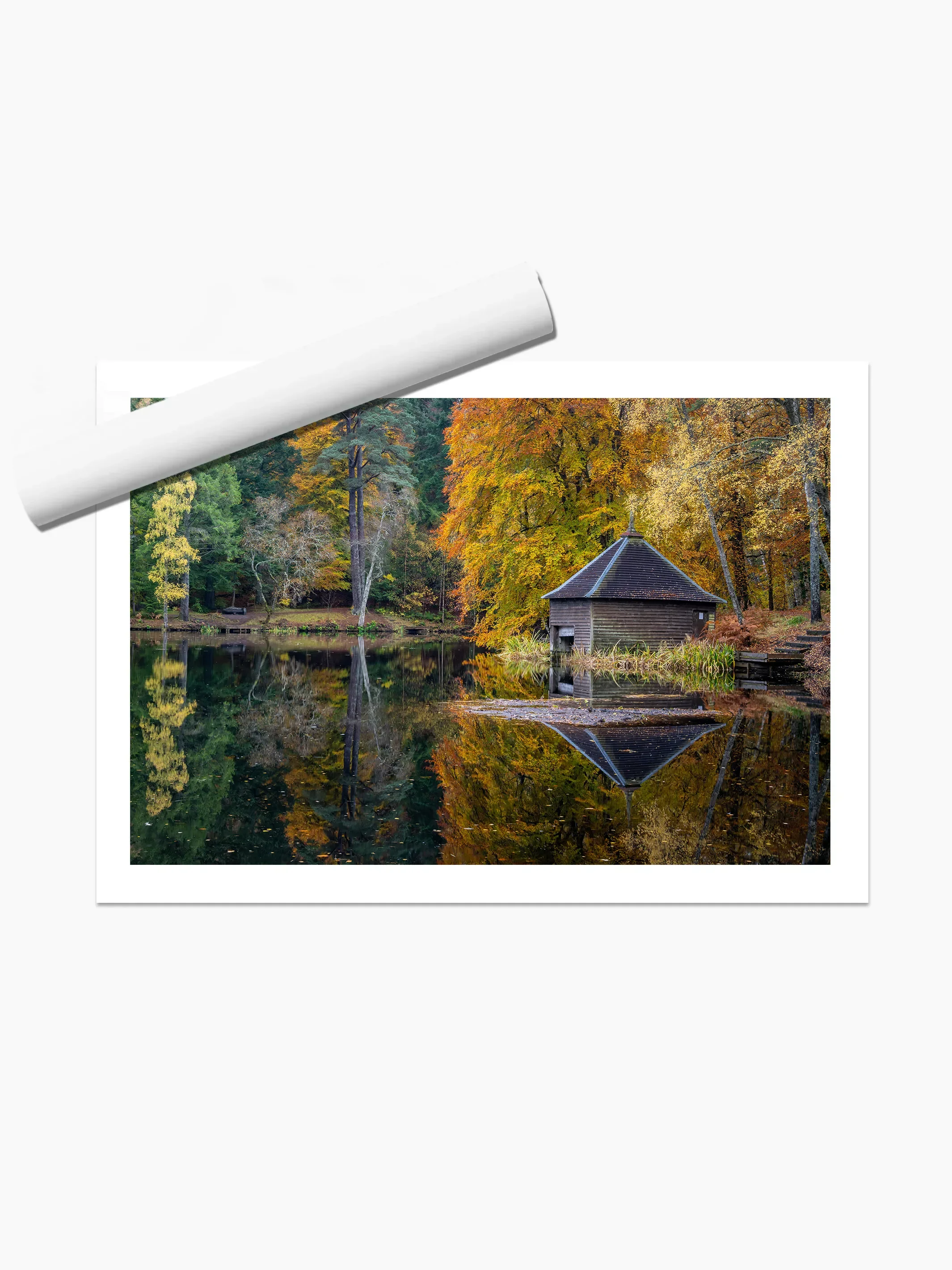 print template copy.webp