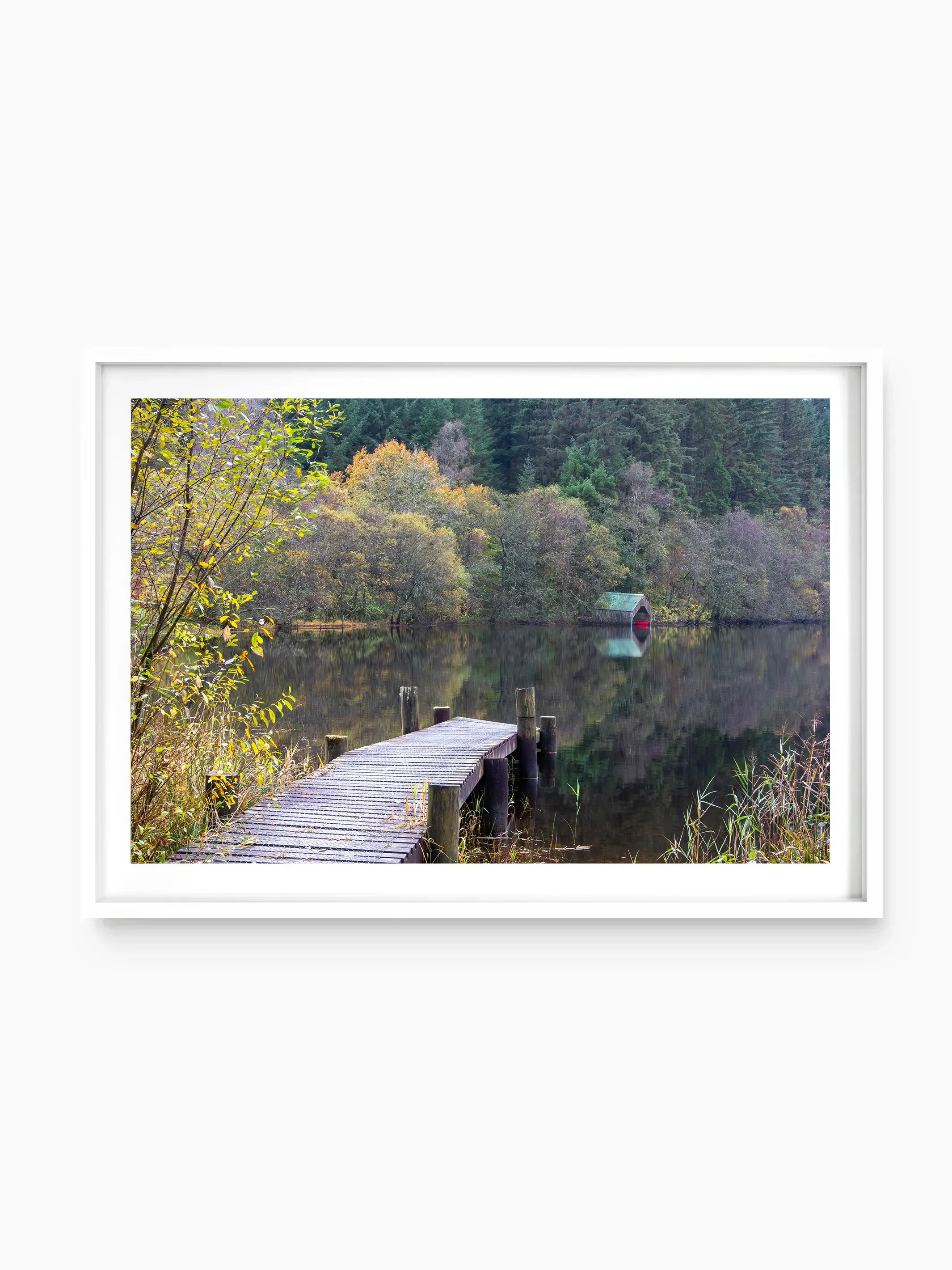 Loch Ard, The Trossachs National Park