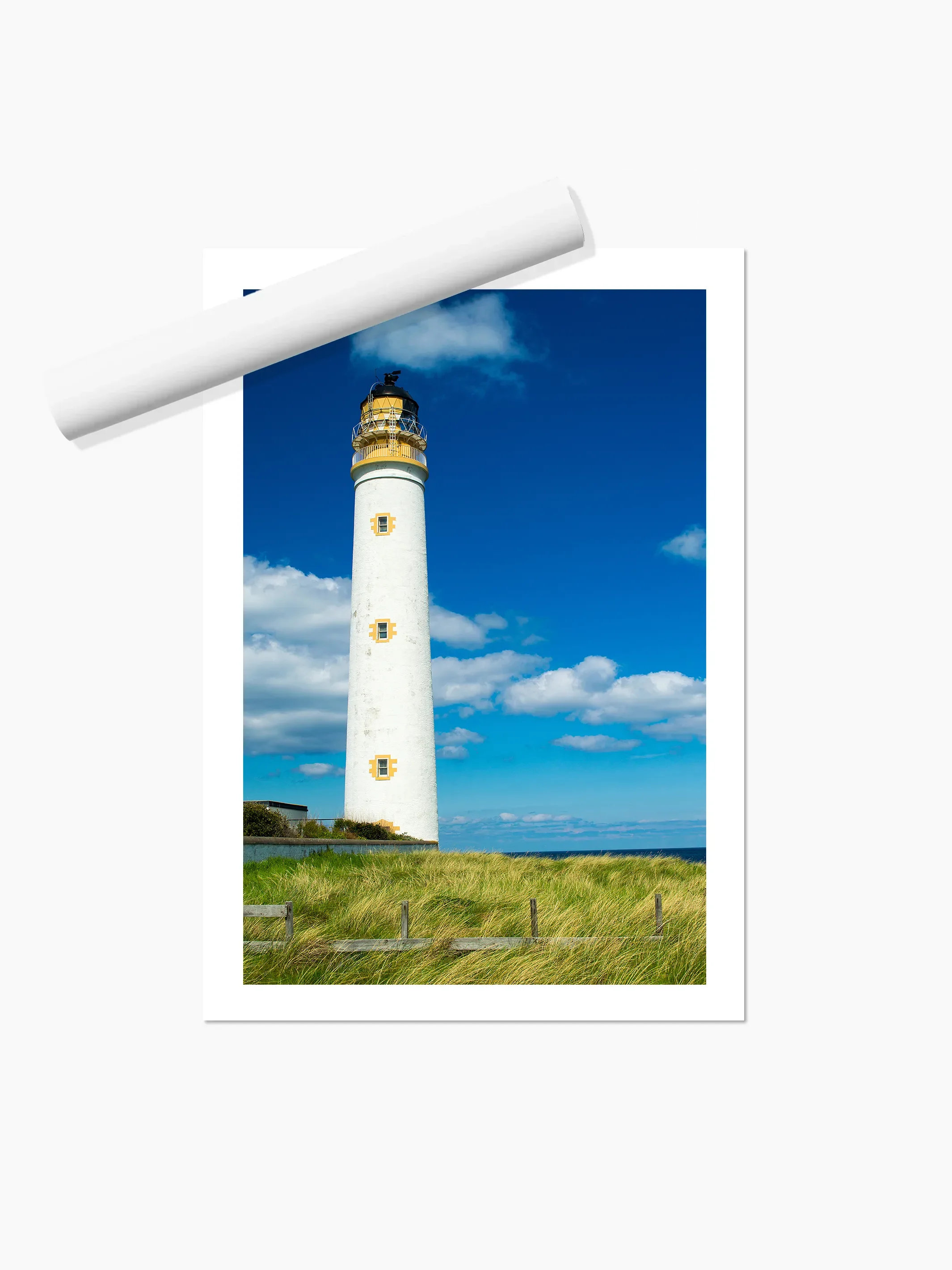 Portrait_print copy.webp