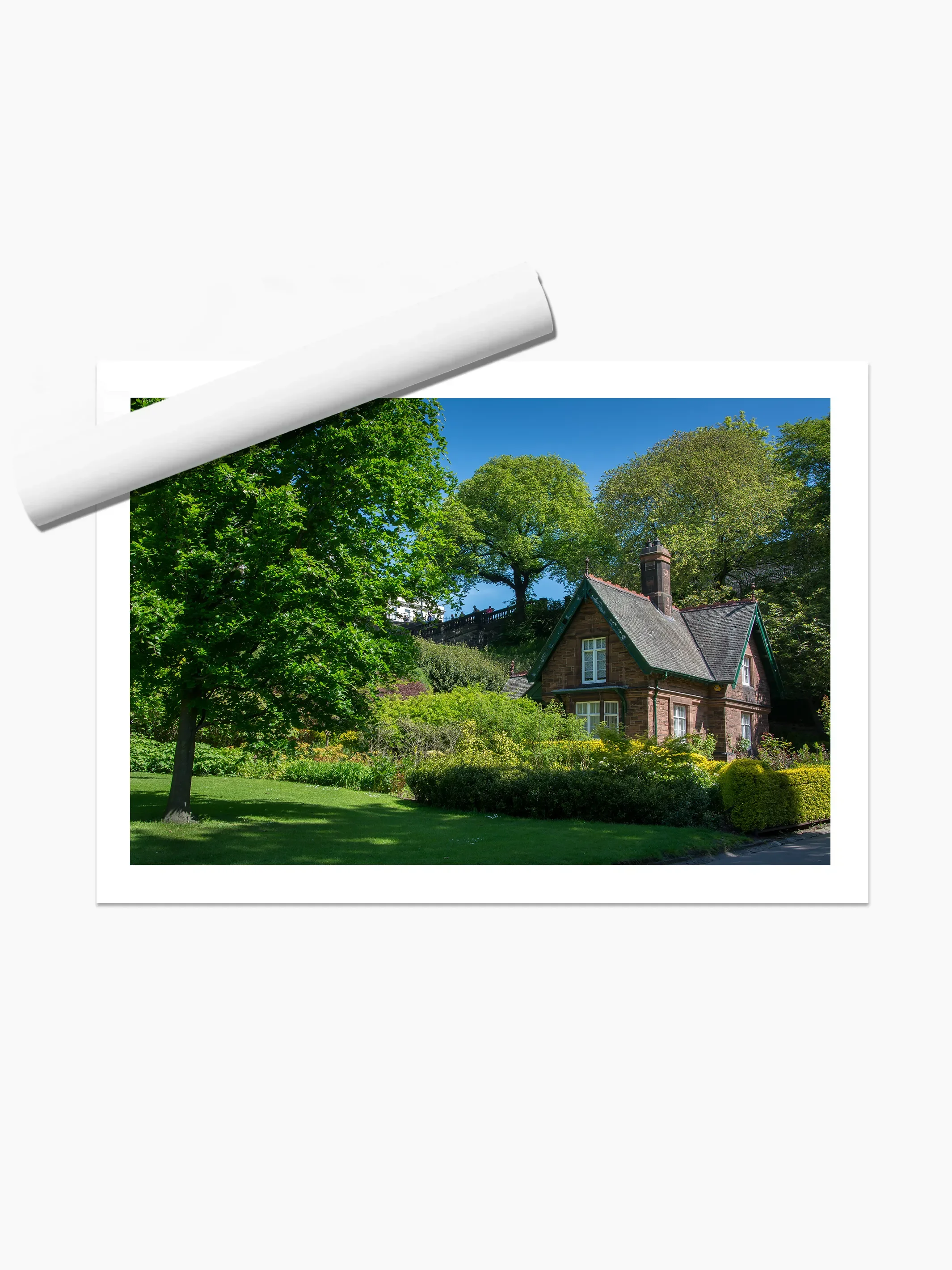 print template copy.webp