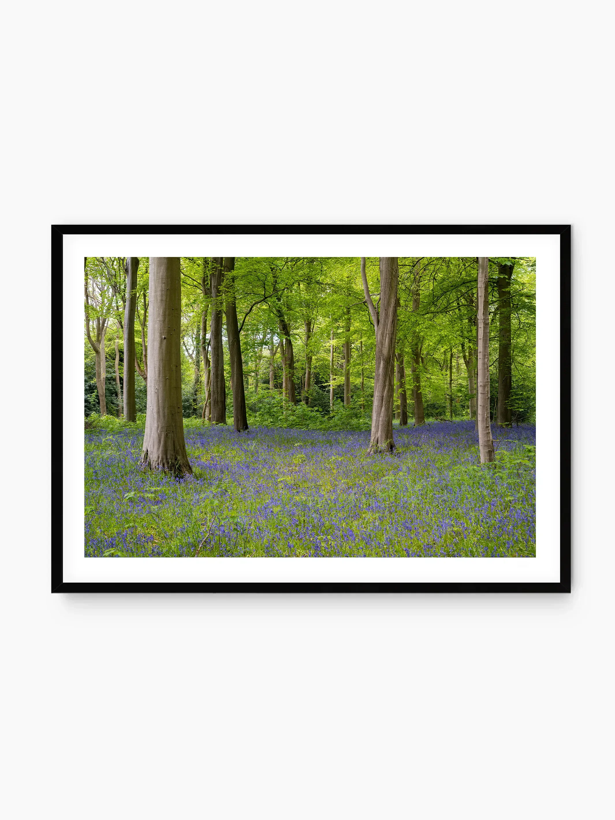 black_template copy.webp